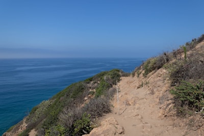 A view of the ocean from the top of a hill