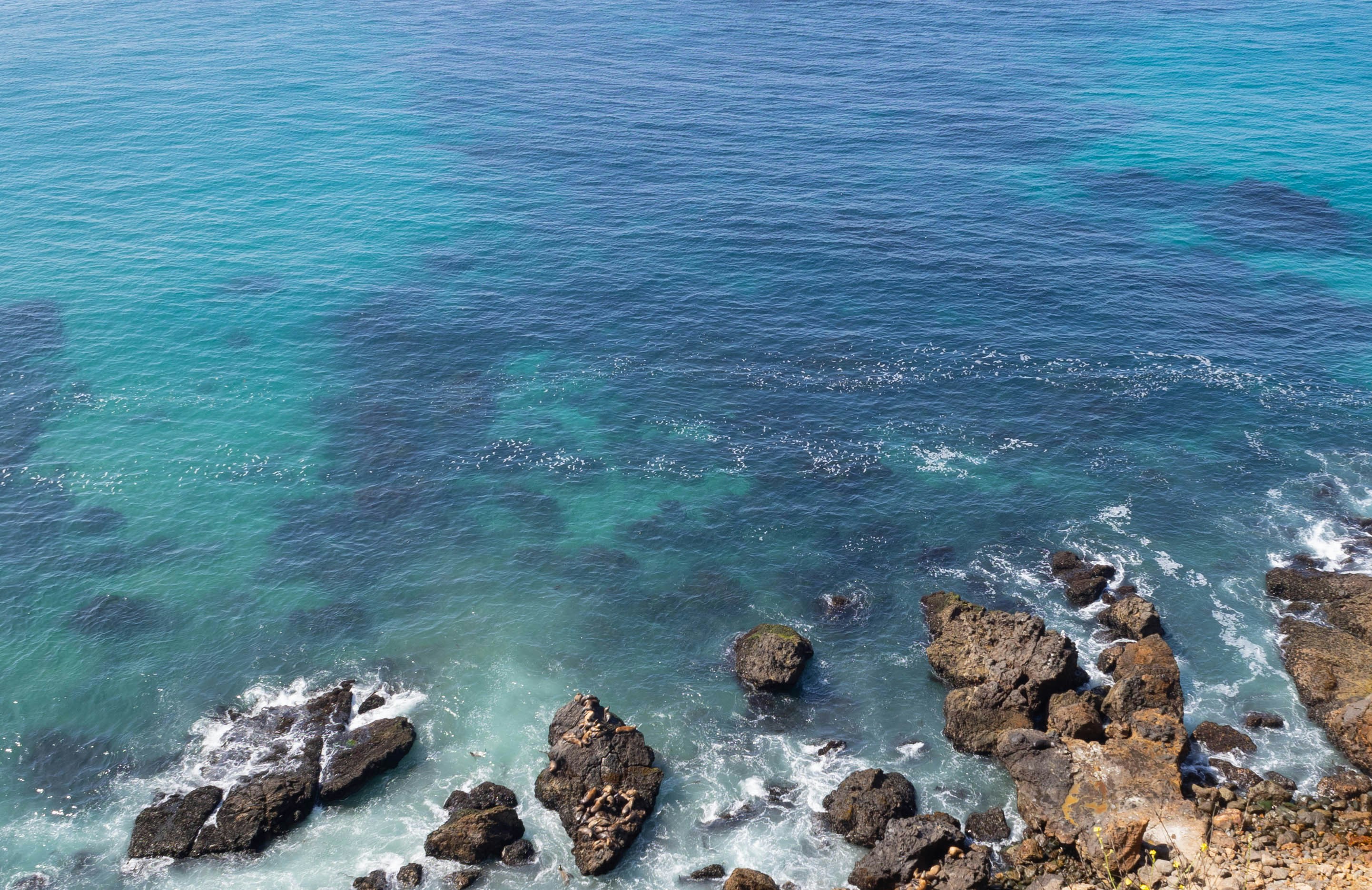 Photo by leslie_outofdoors