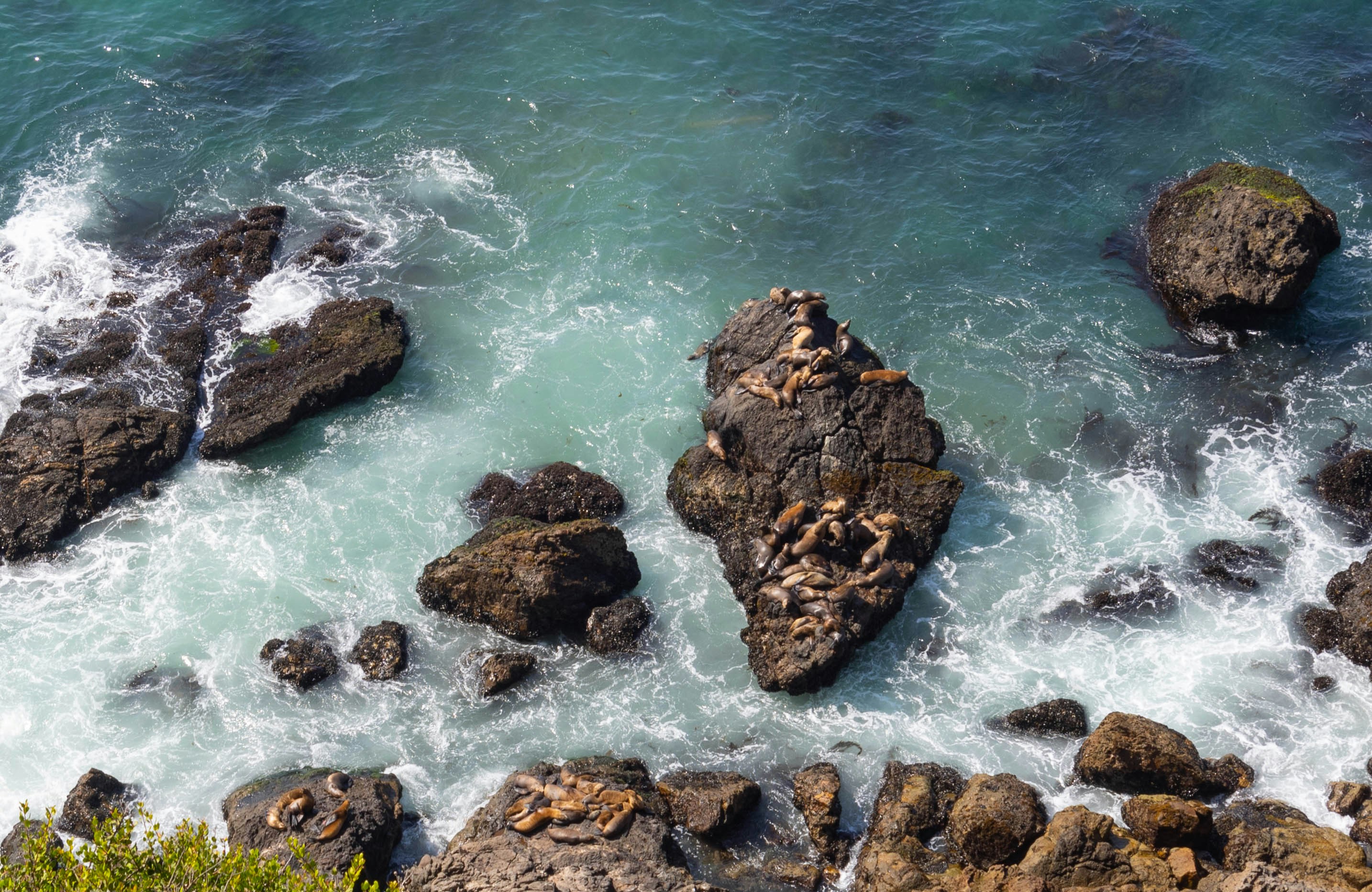 Photo by leslie_outofdoors