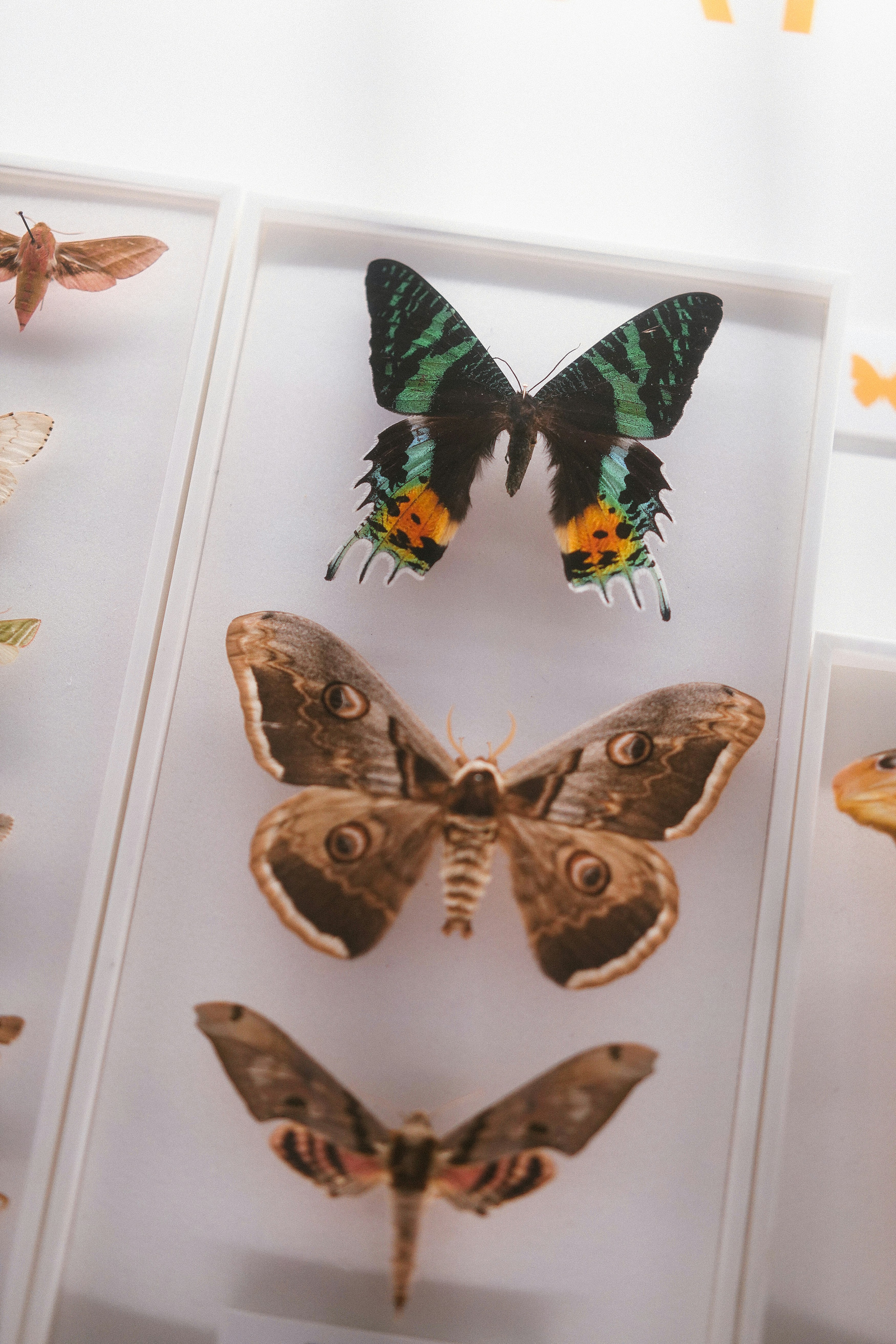 Photo by philhearing