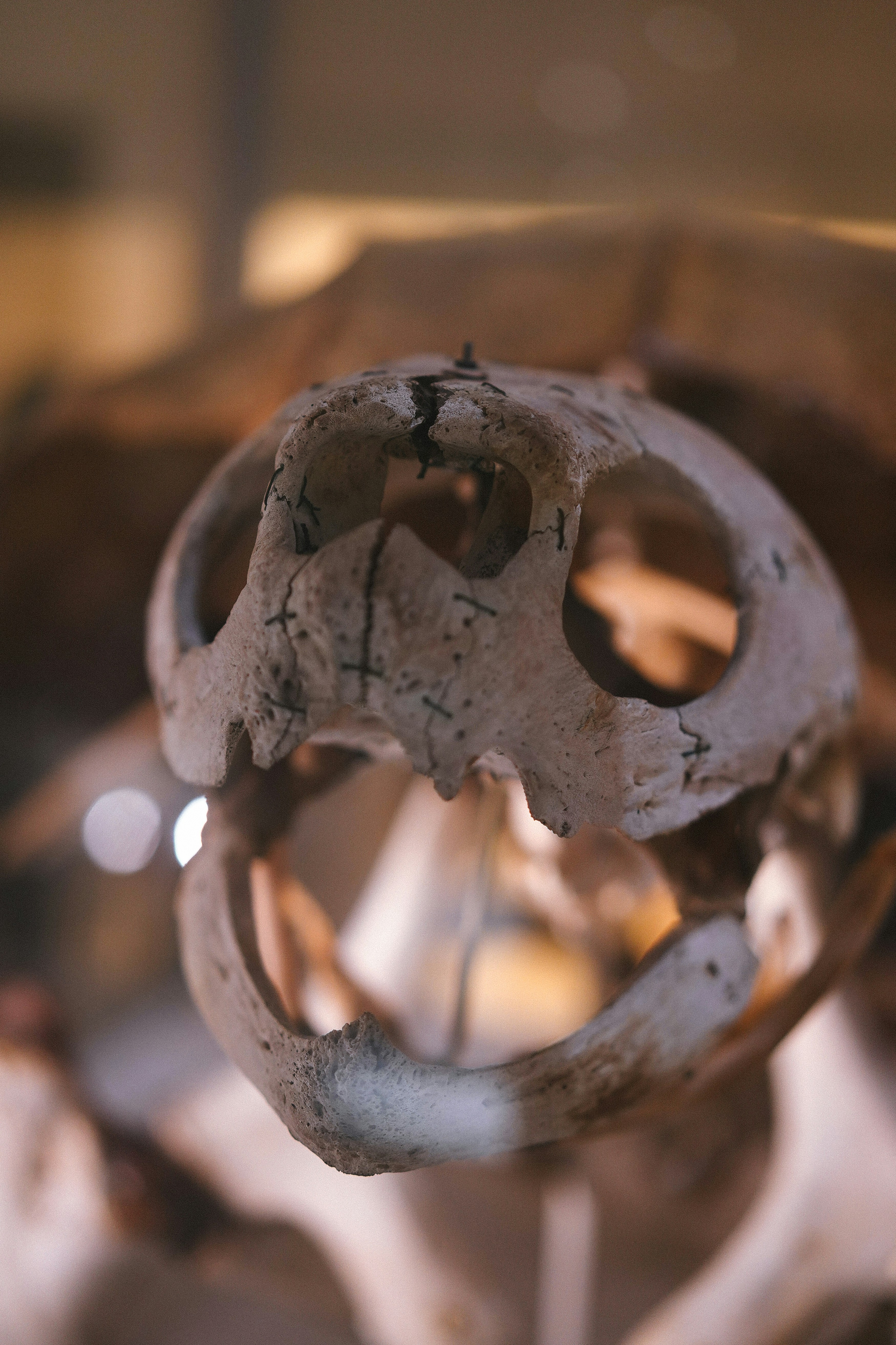 Photo by philhearing