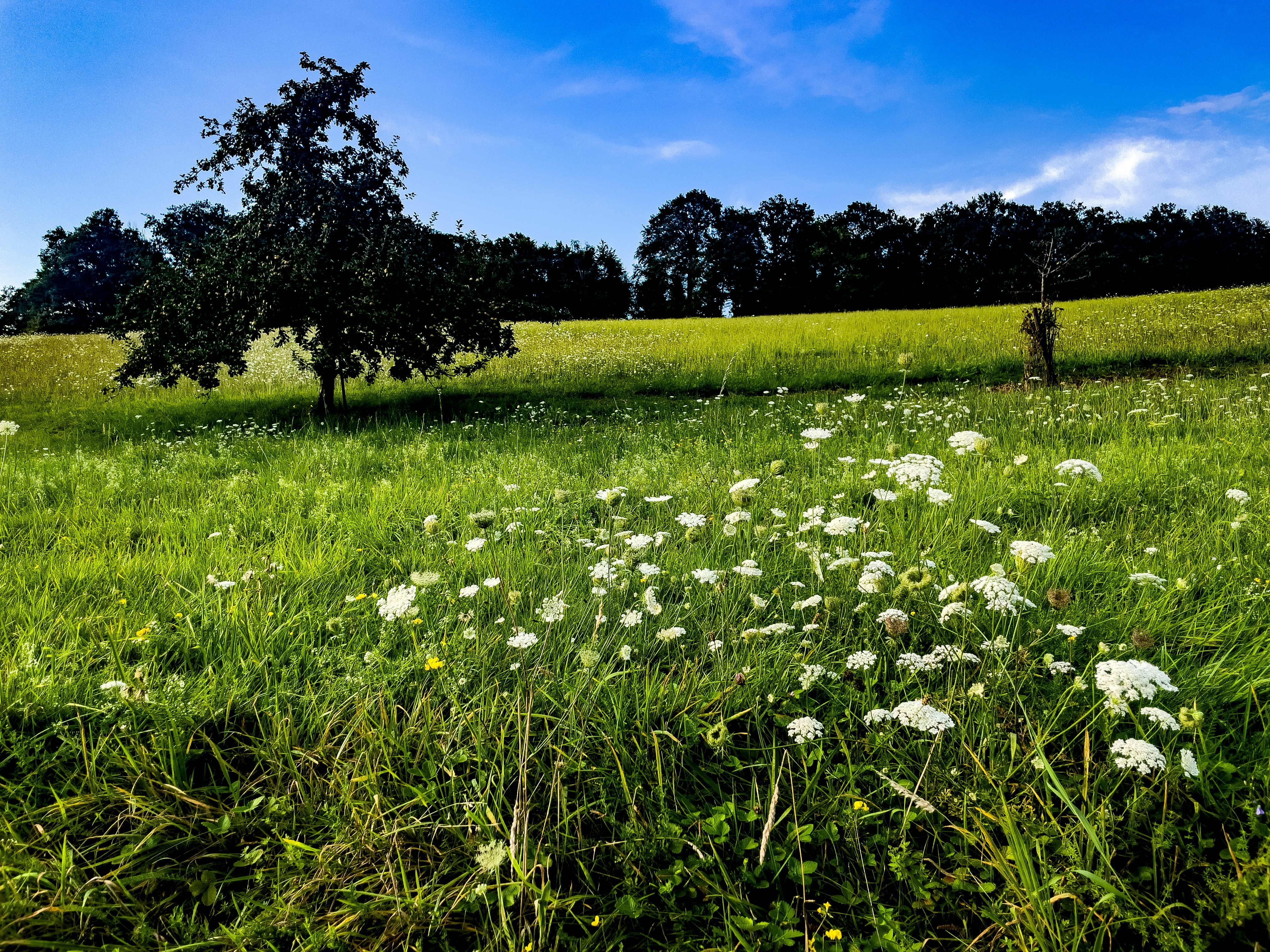 Photo by hdbernd
