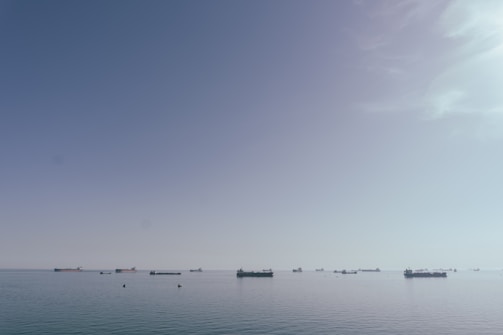 A large body of water with boats in the distance
