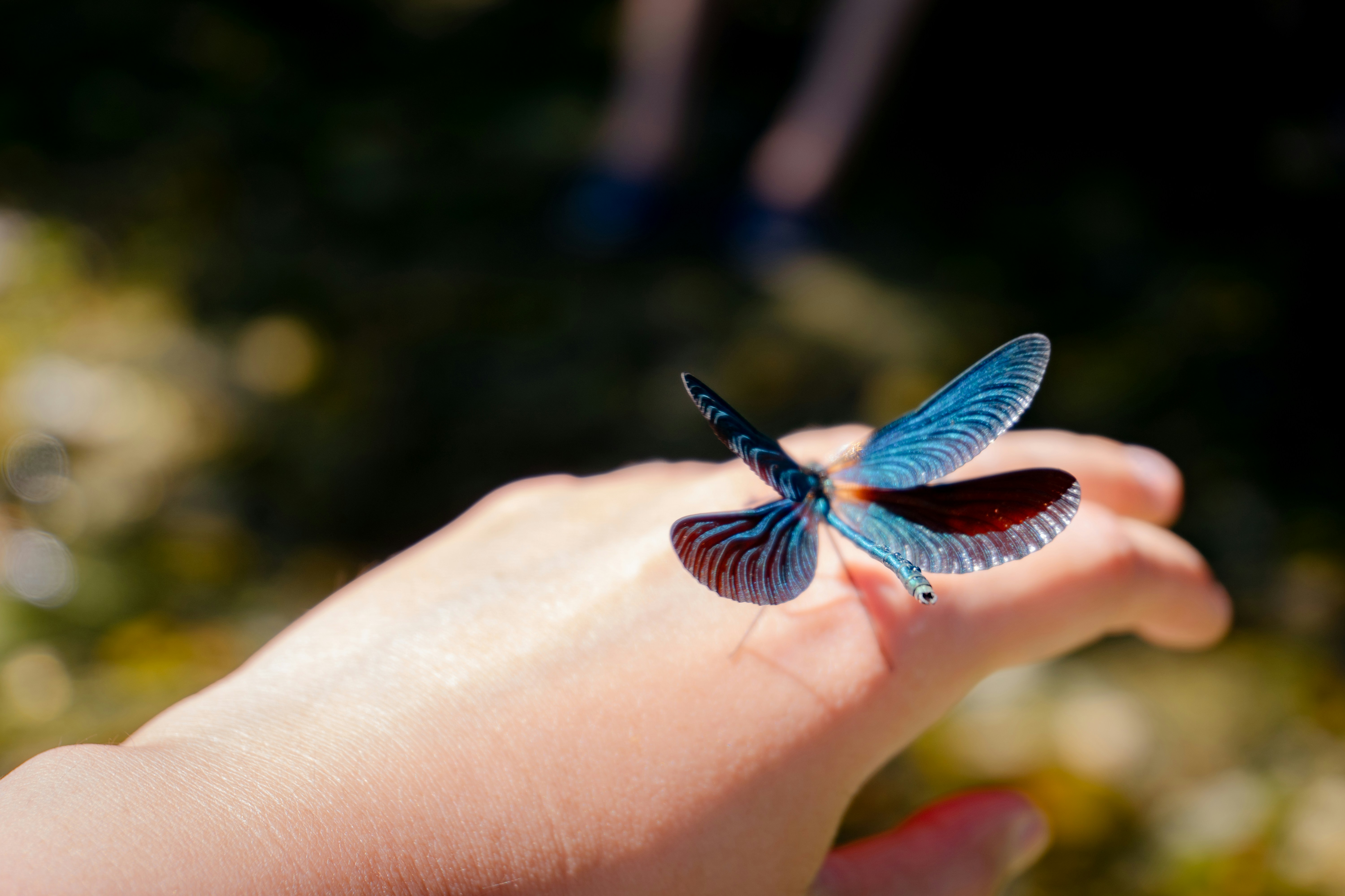 No Other Place I Could Be, Prose by Braden Kane