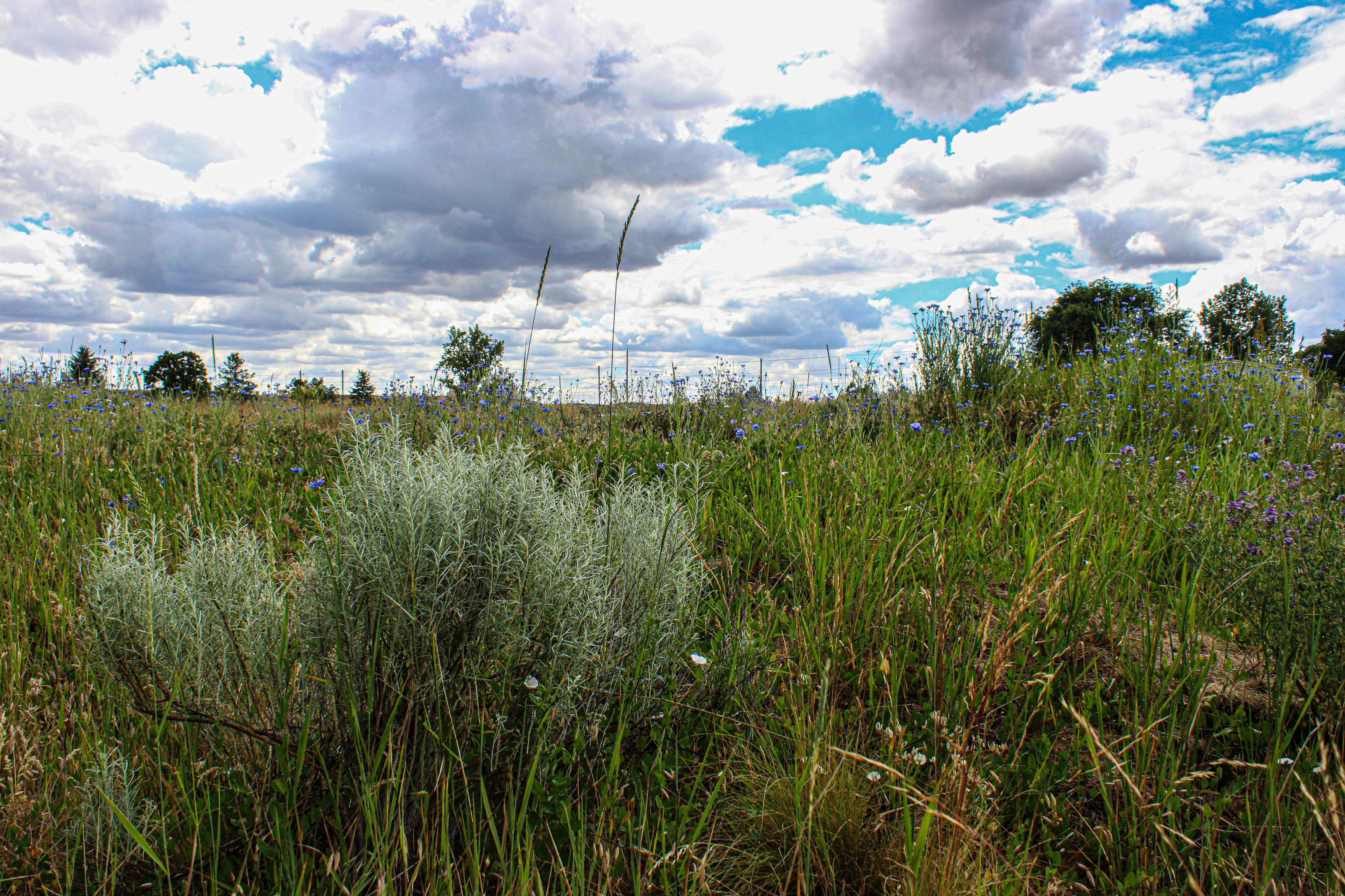 Photo by prphotography262