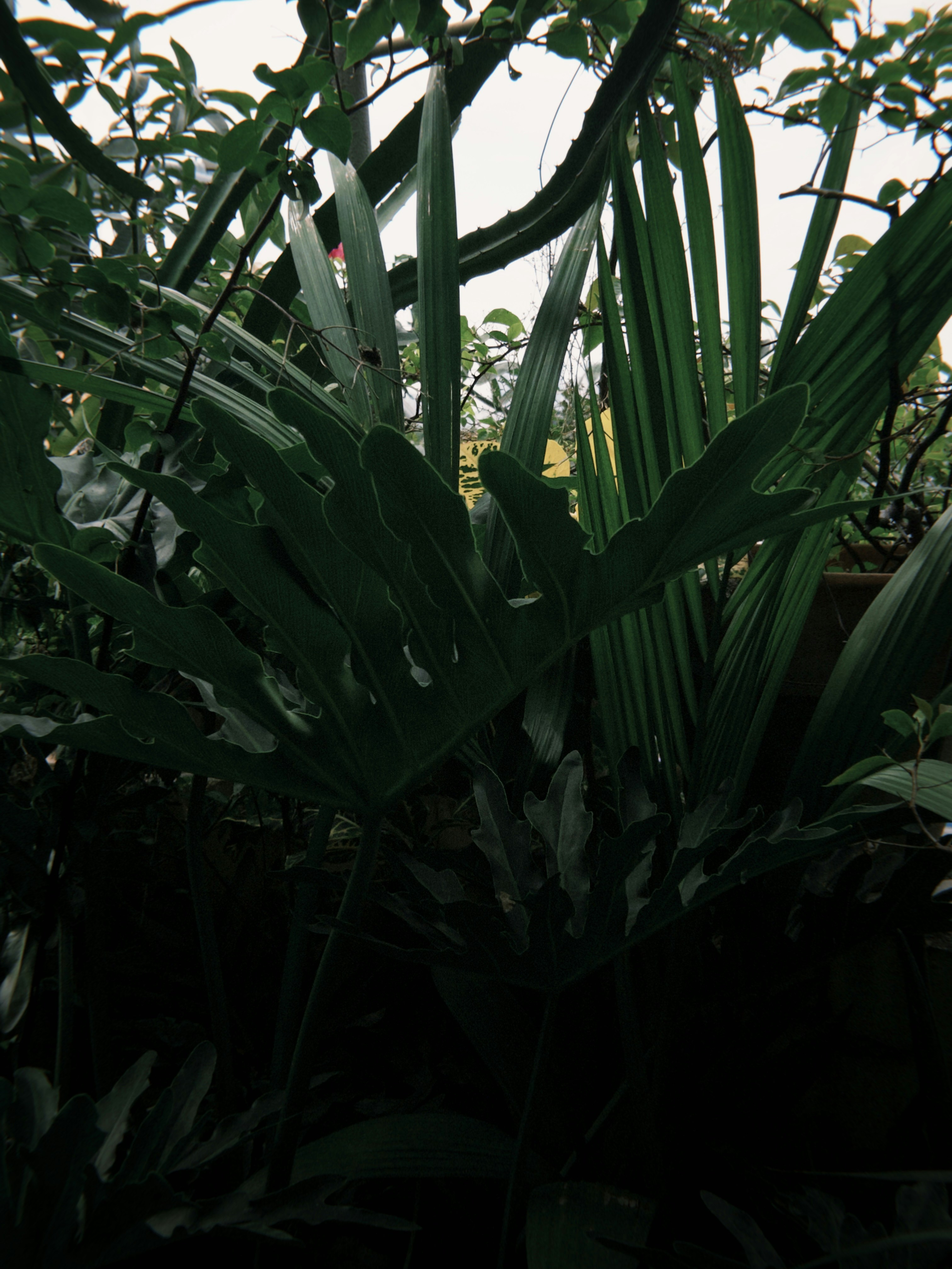 Photo by kchristanne