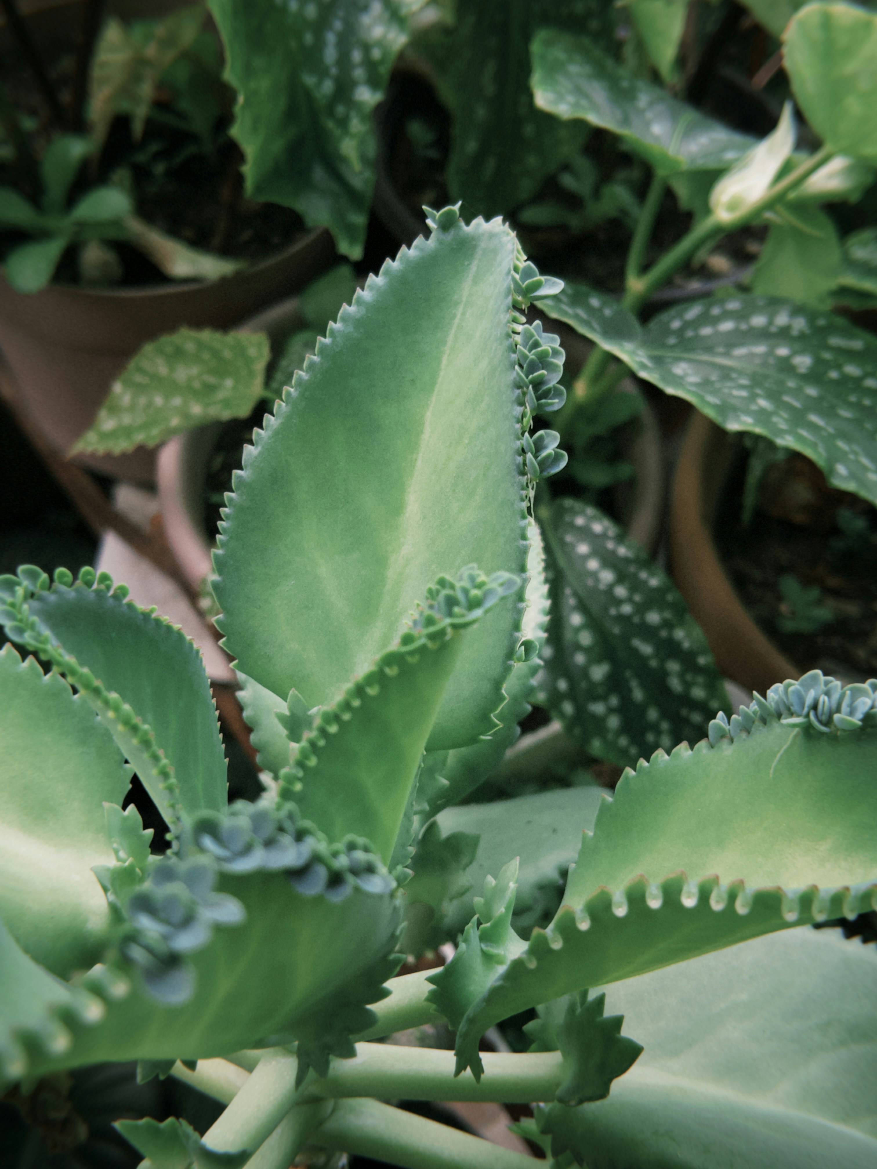 Photo by kchristanne