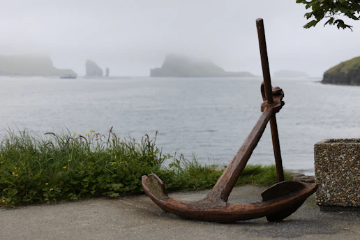 An anchor on the shore of a body of water