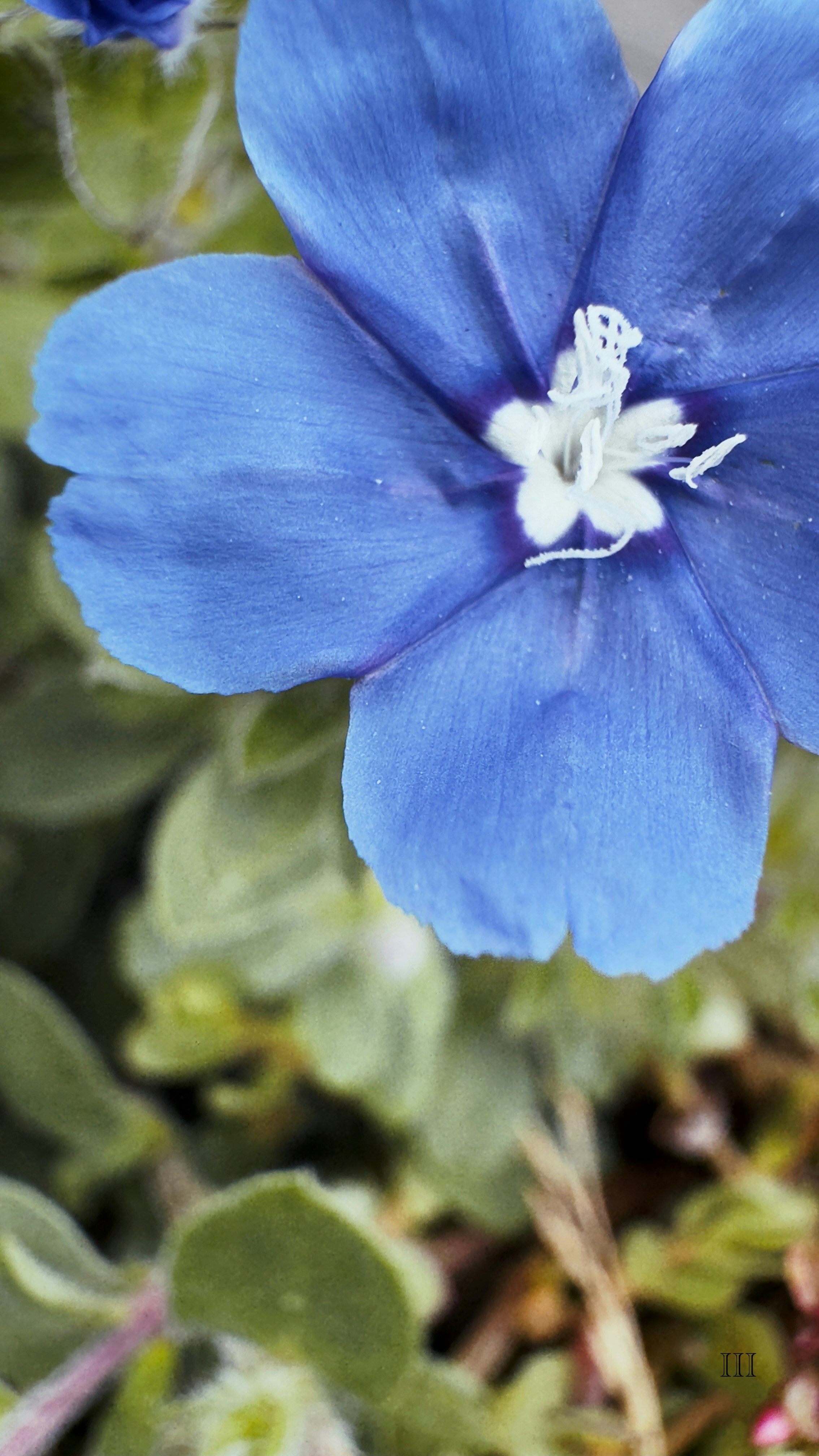 Photo by clevelandlewis