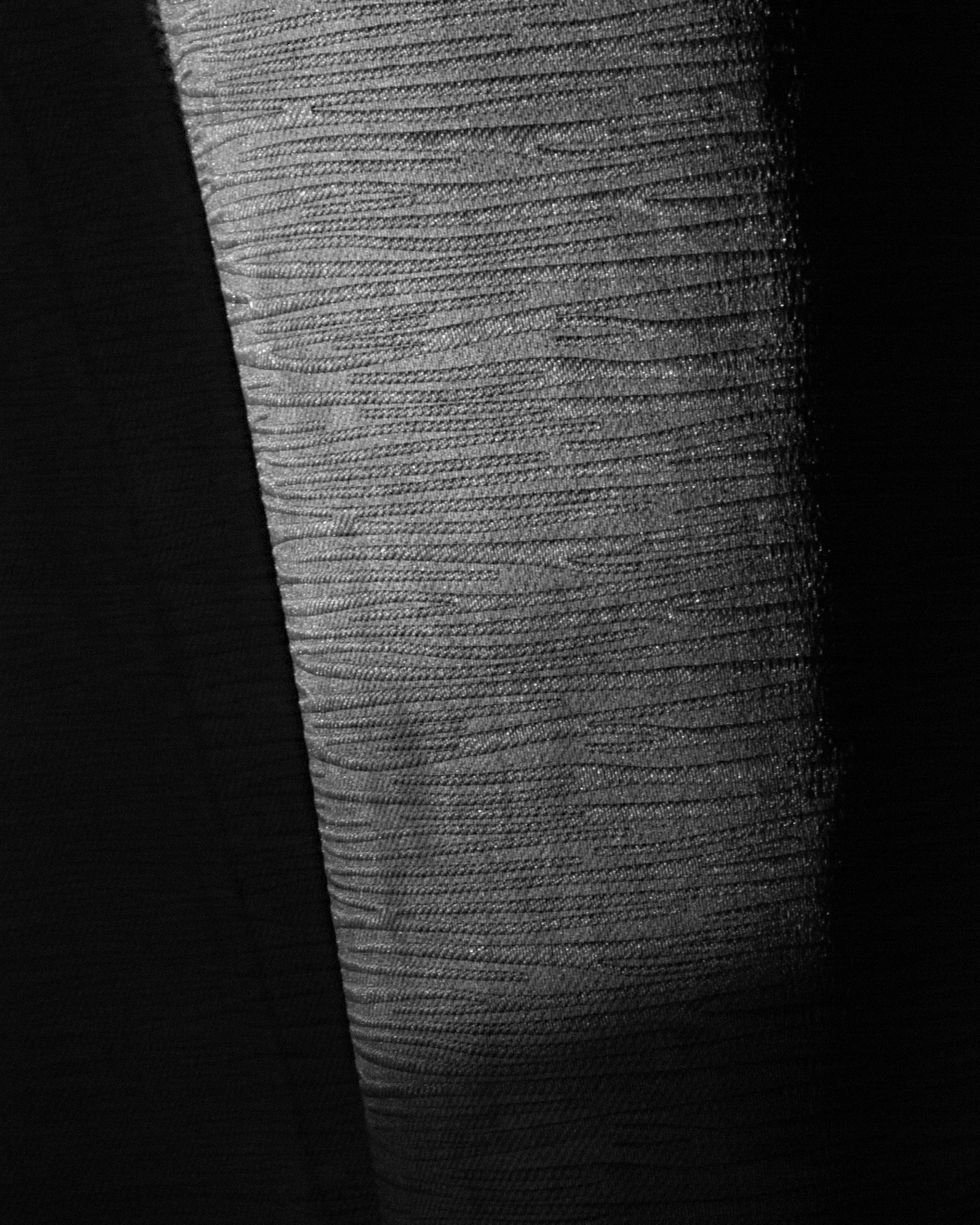 A black and white photo of an elephant's trunk