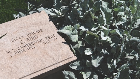 A memorial in the middle of a garden