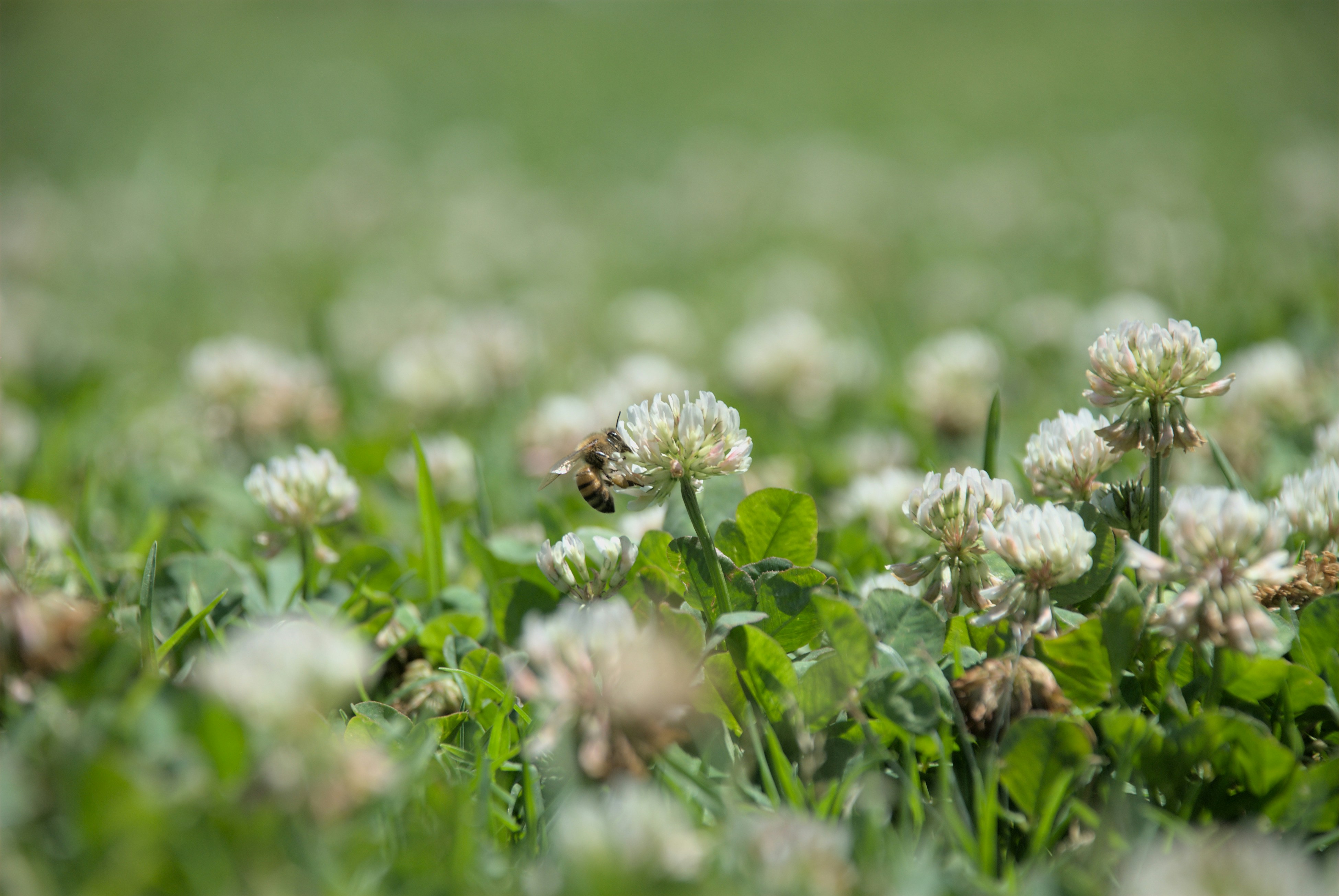 Photo by caydence_01