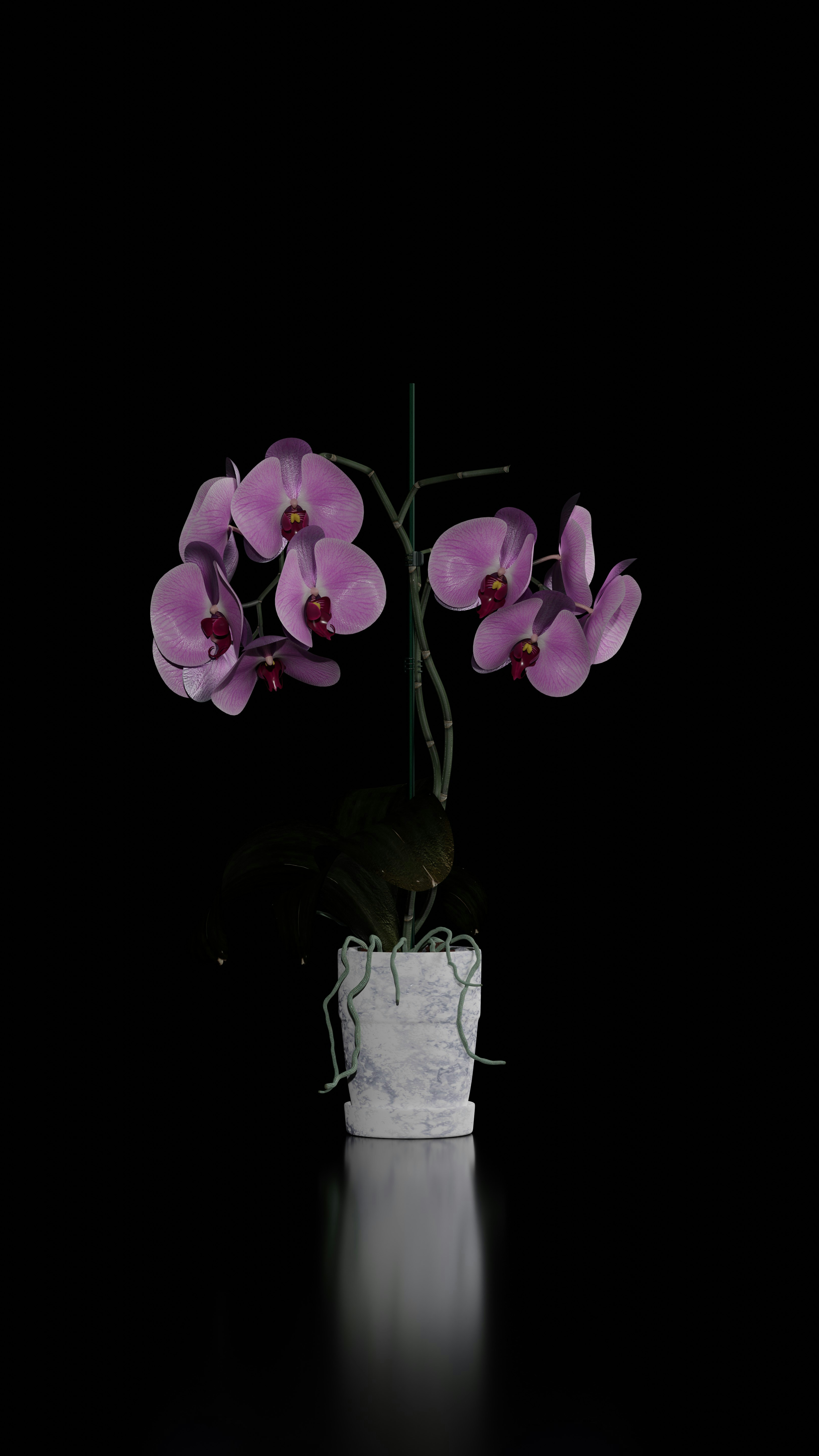A white vase filled with purple flowers on top of a table