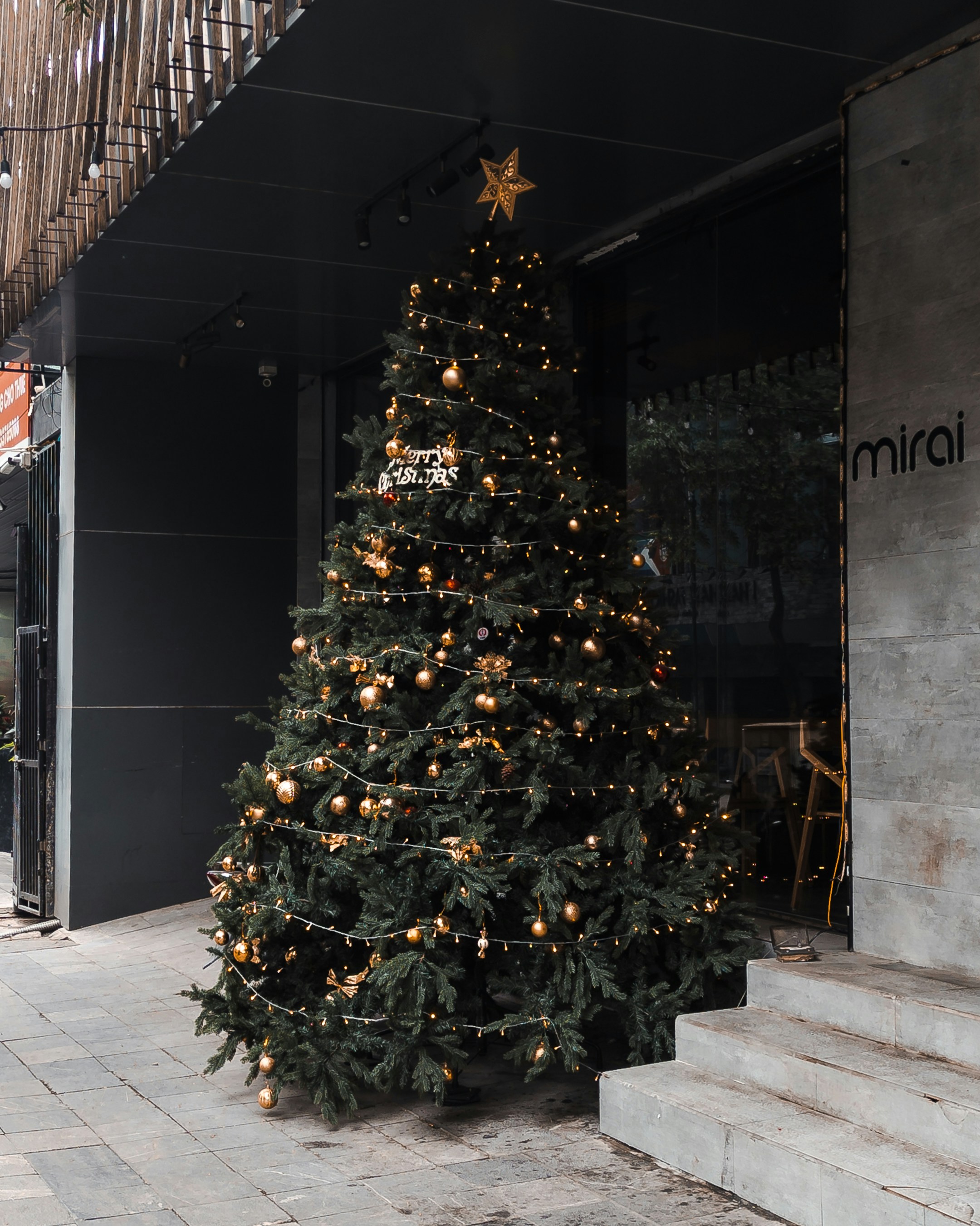 A large christmas tree sitting in front of a building