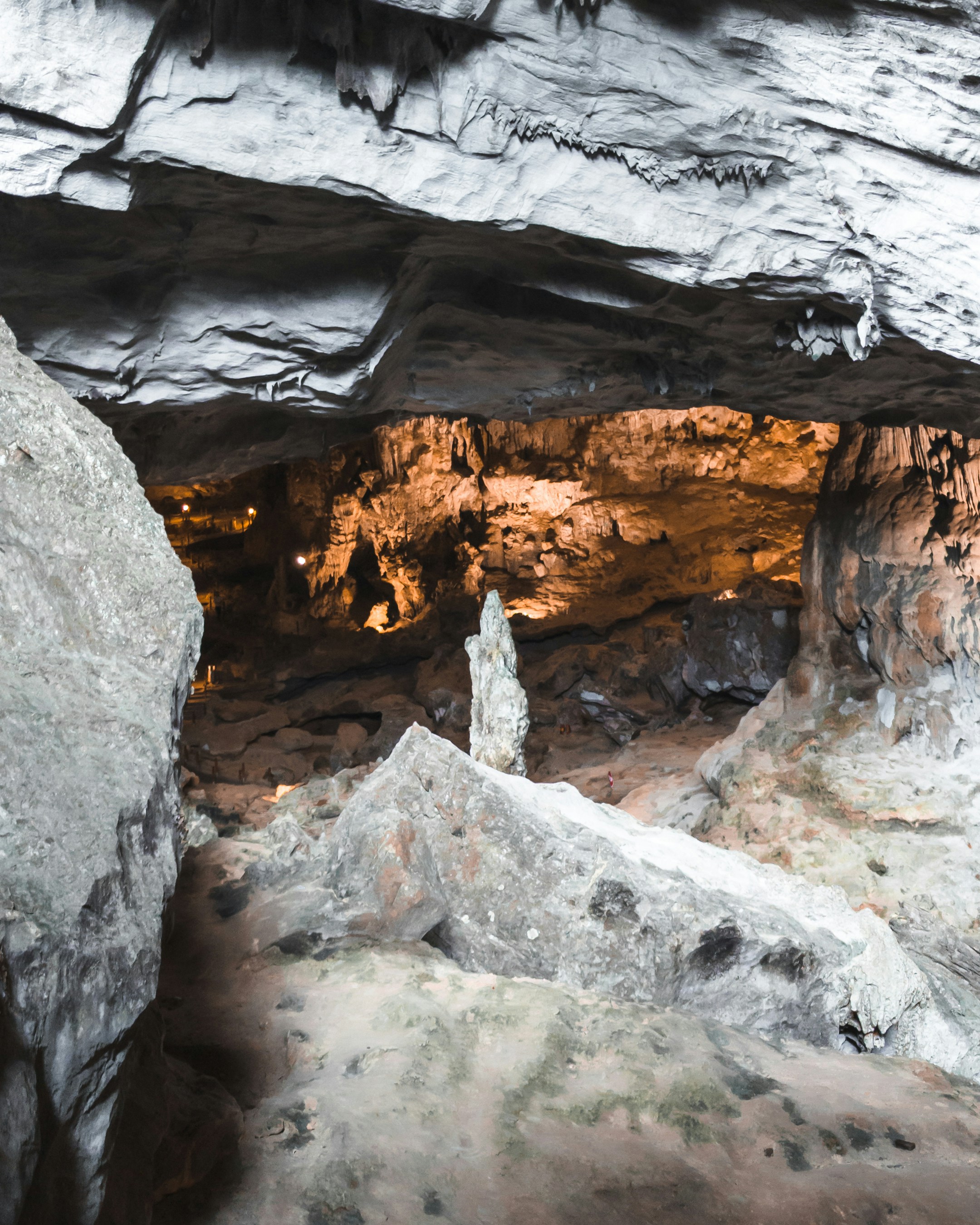 Conservation Challenges and Solutions (image credits: unsplash)