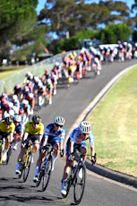 A group of people riding bikes down a road
