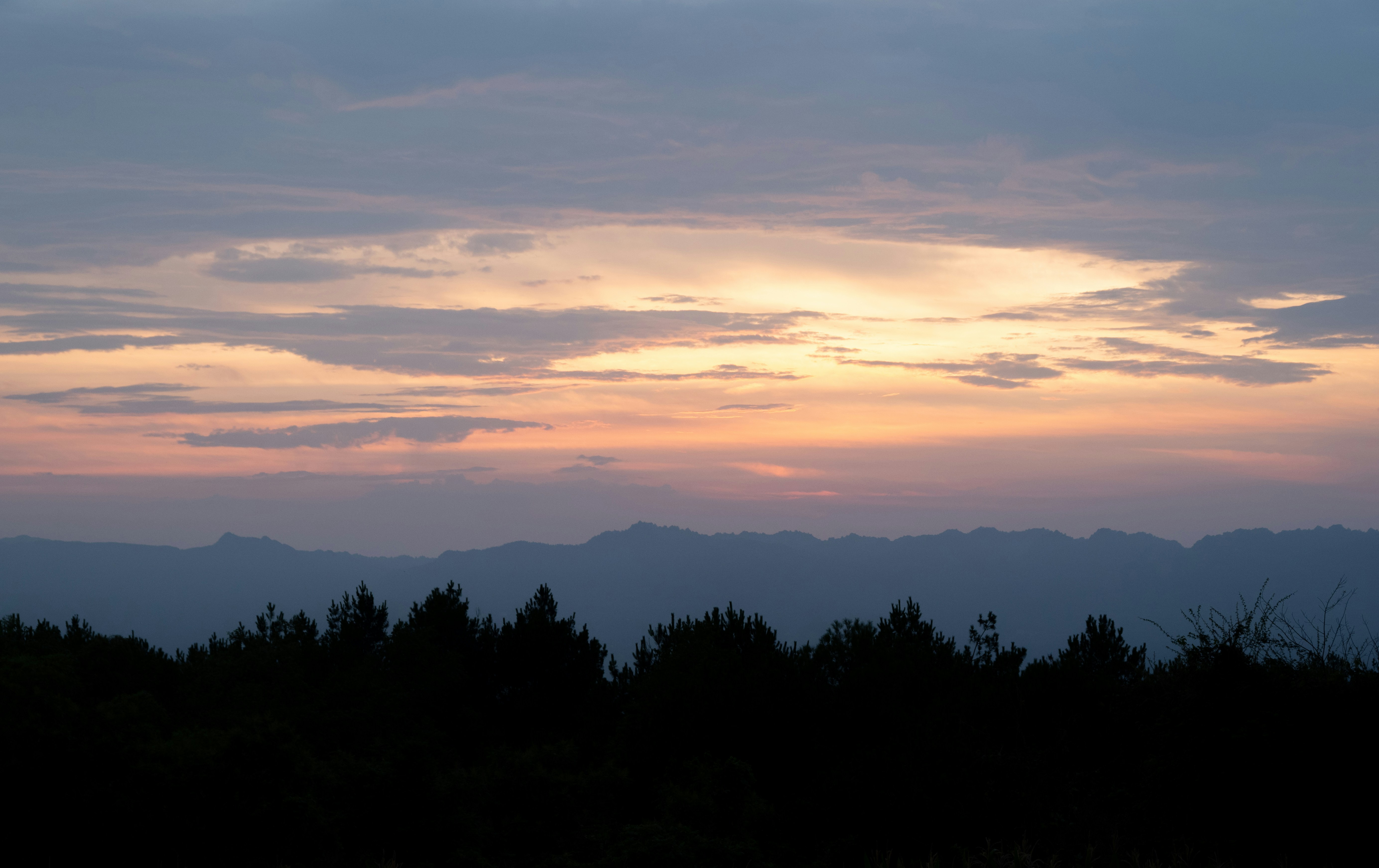 Photo by nikol_royce