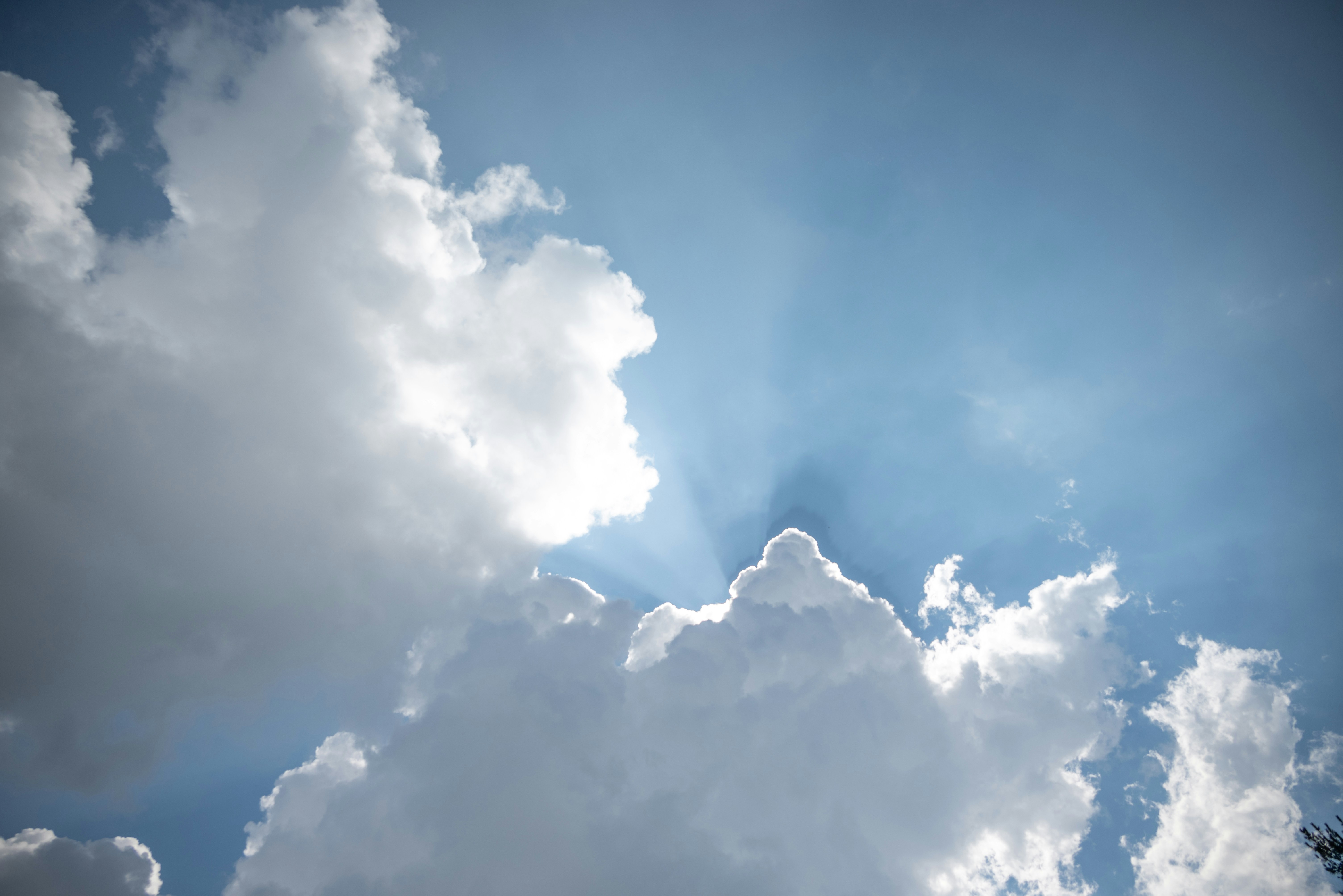 Photo by nikol_royce