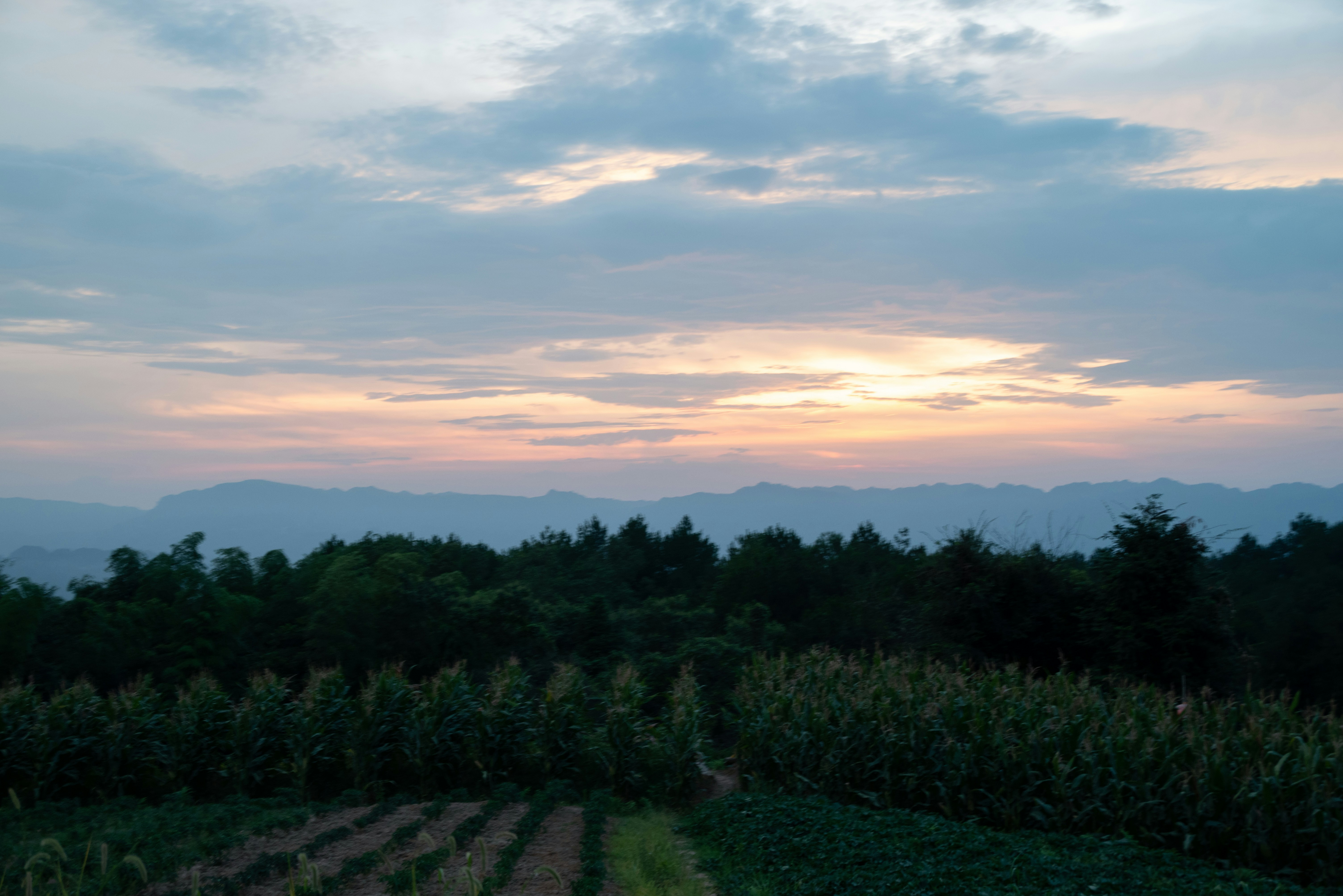 Photo by nikol_royce