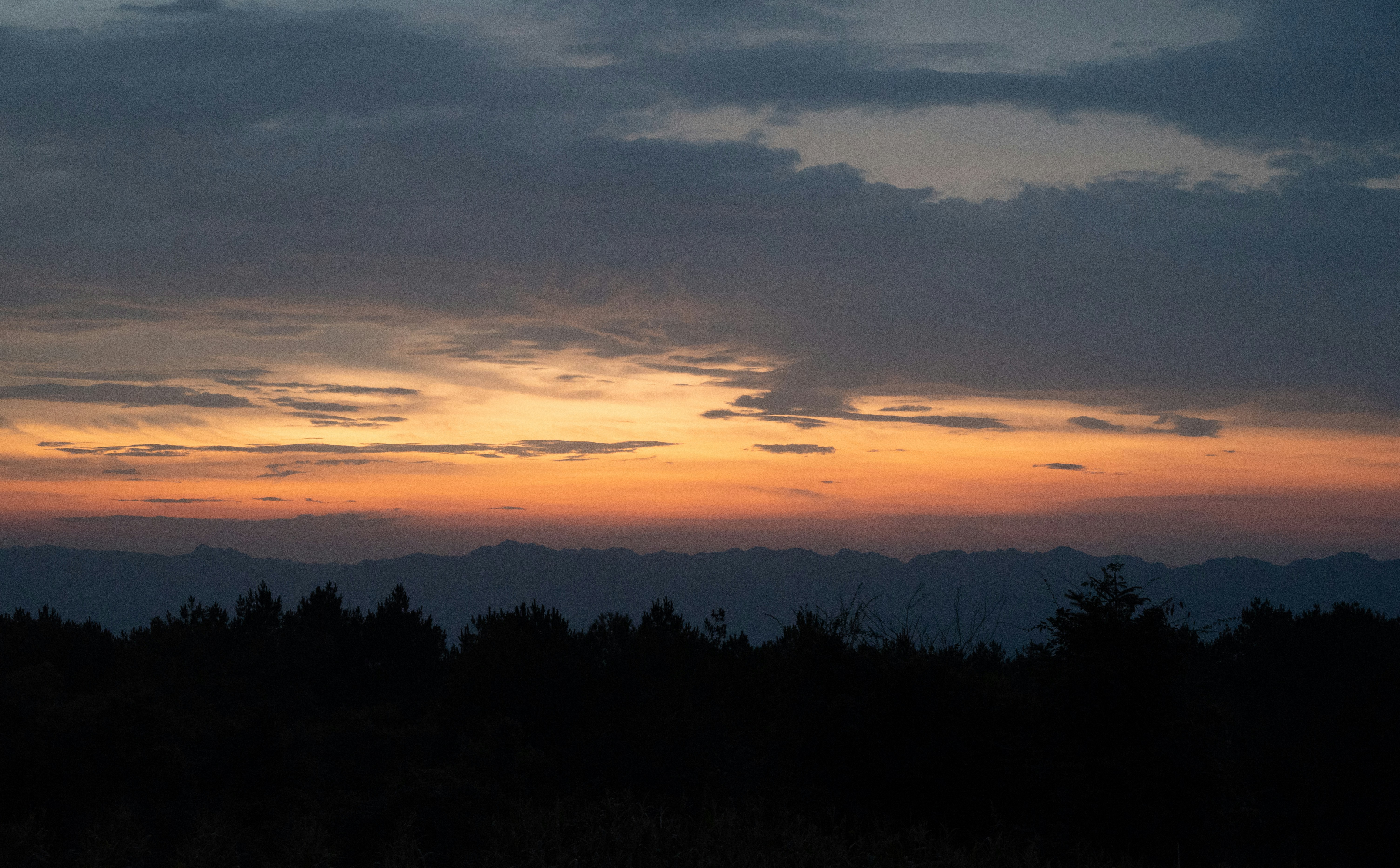 Photo by nikol_royce