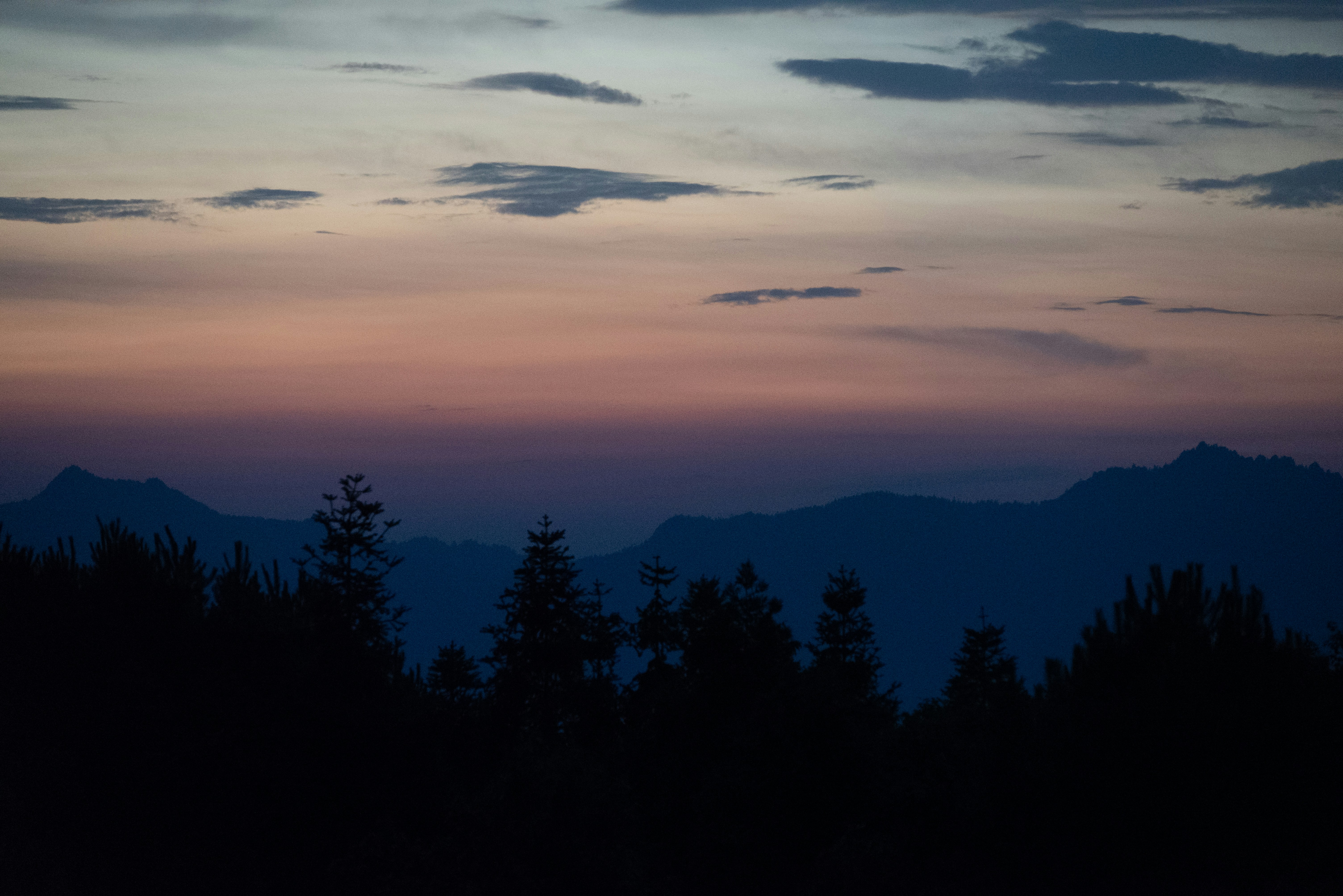 Photo by nikol_royce