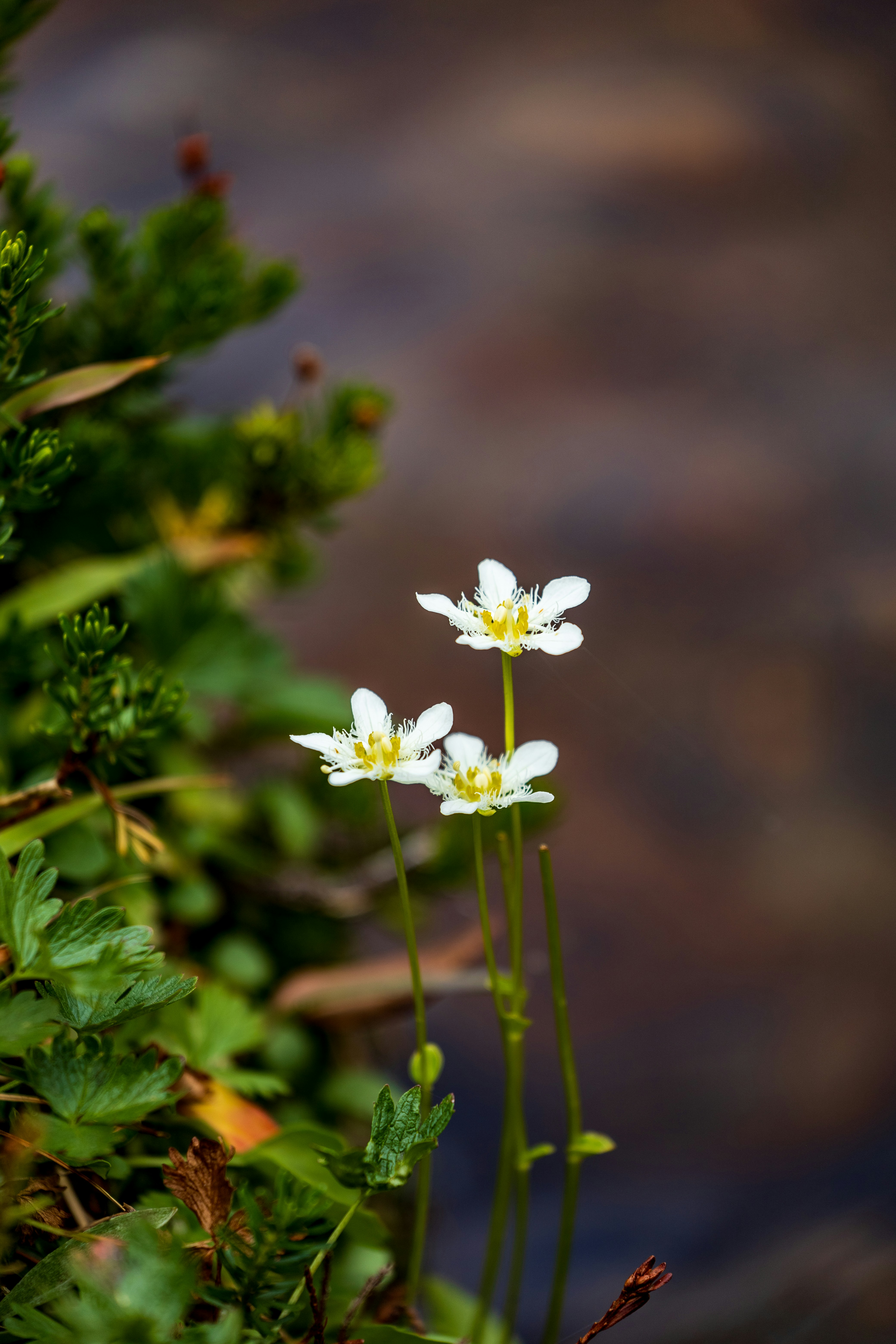 Photo by lancetraveler60