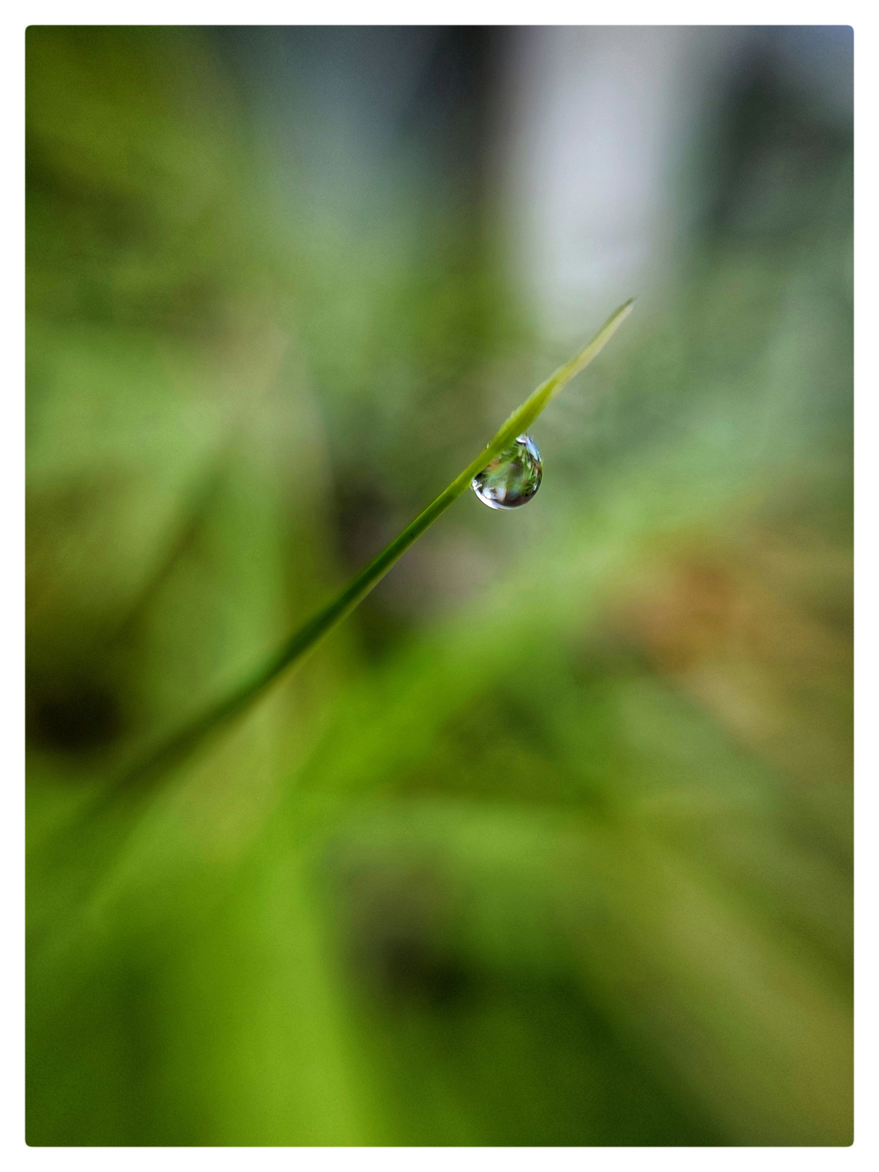 Photo by adhirejj