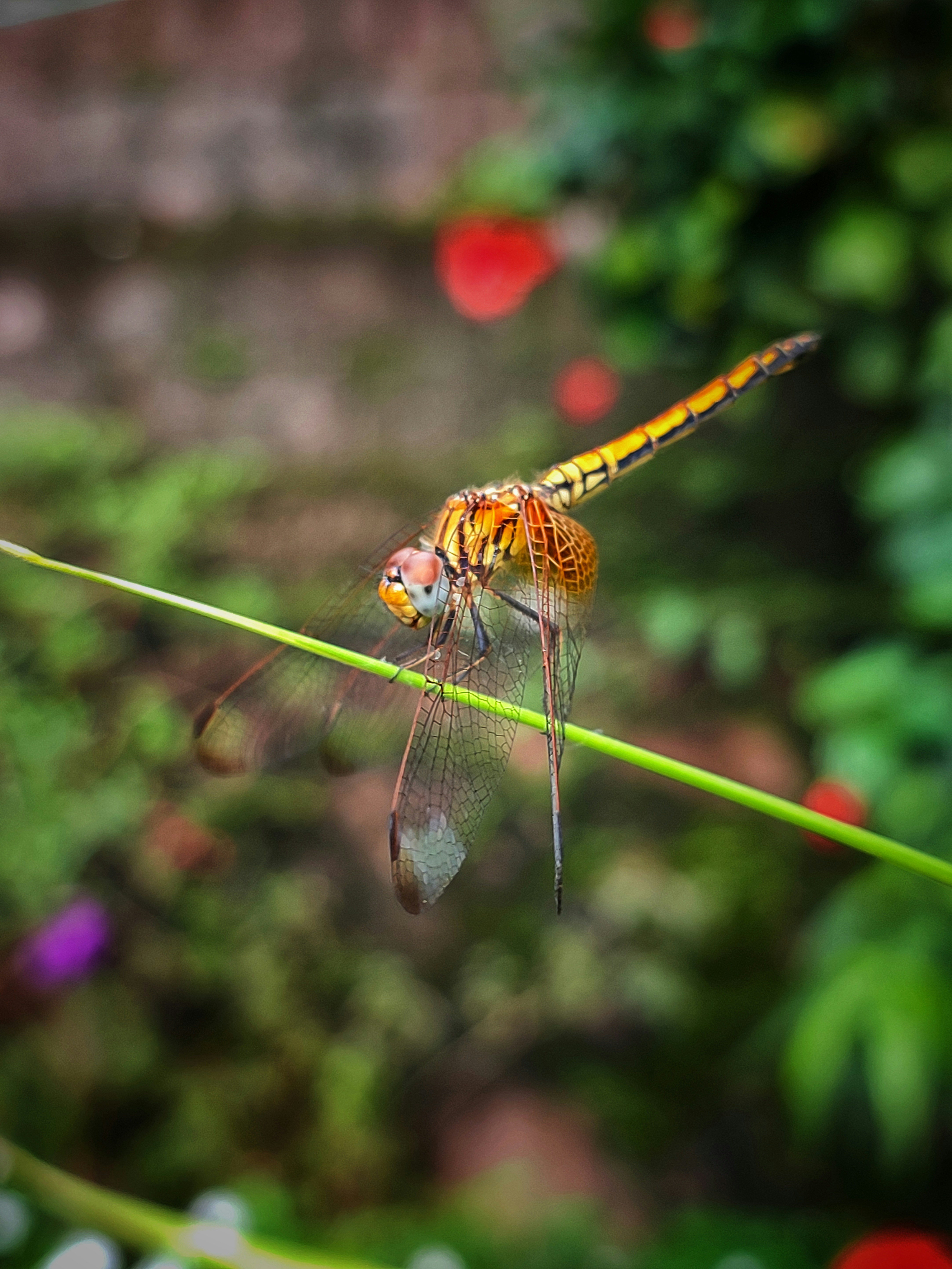 Photo by adhirejj