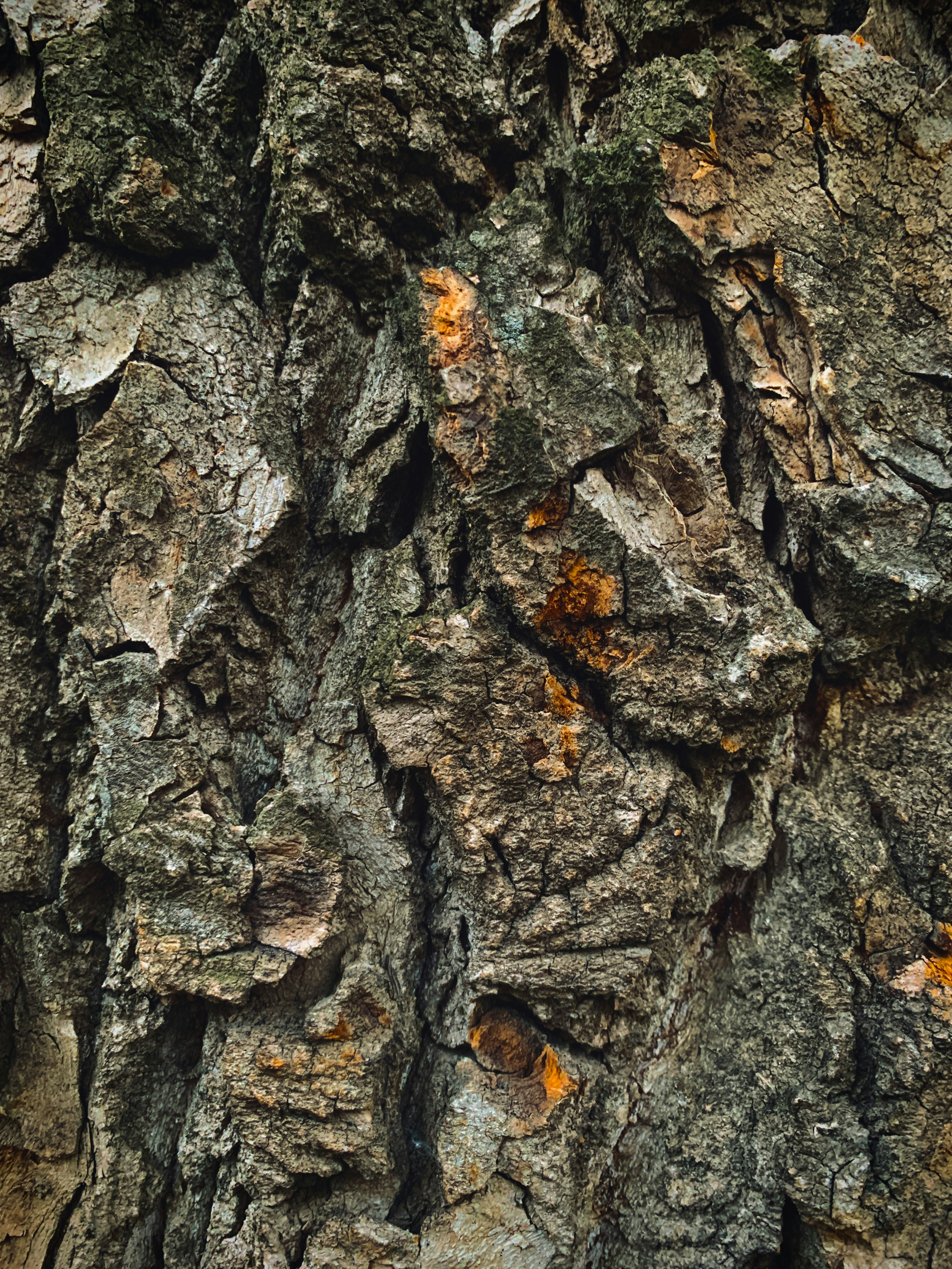 Photo by ionemchinov