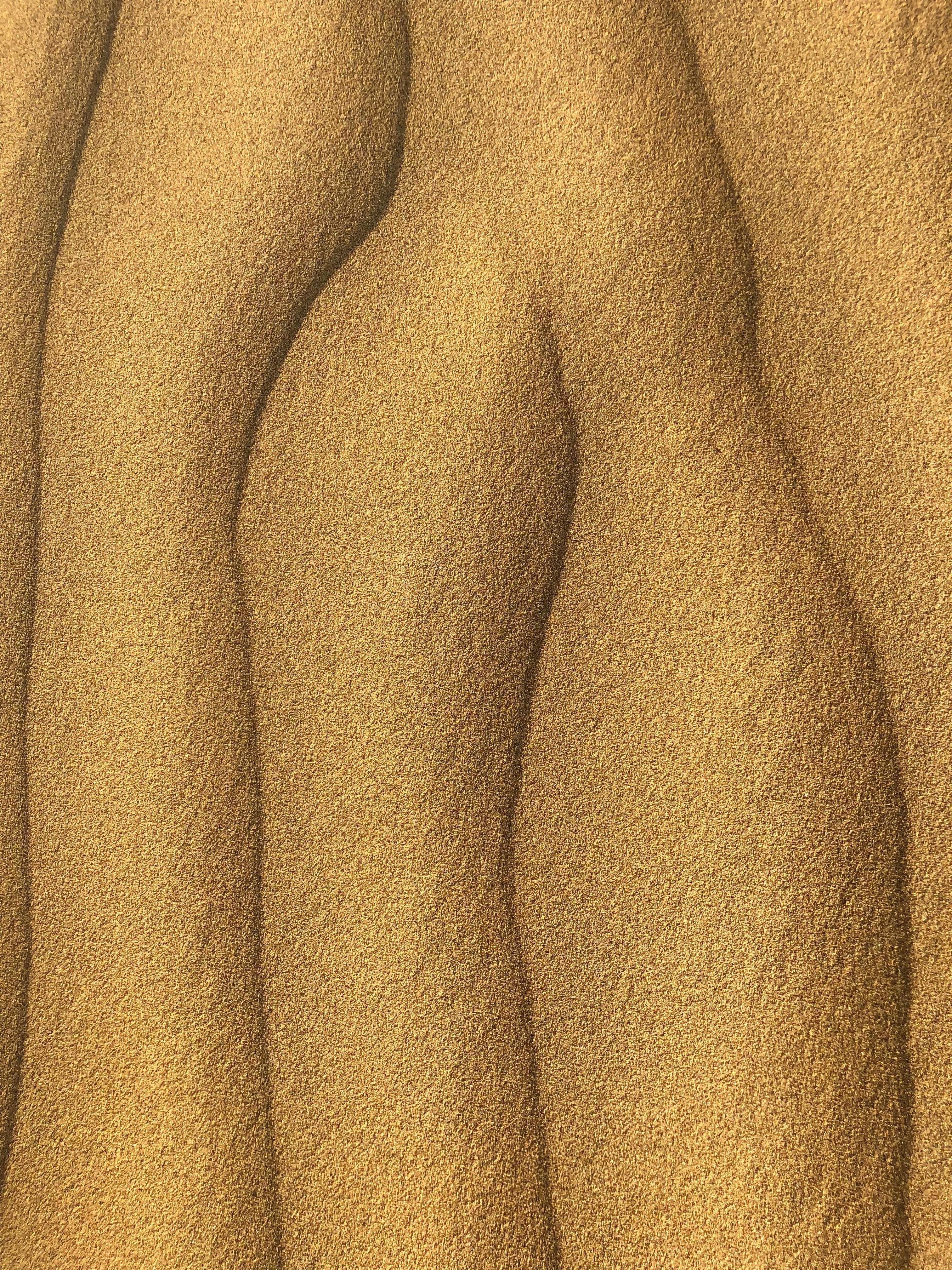 Current placeholder for A medical illustration of genital warts.