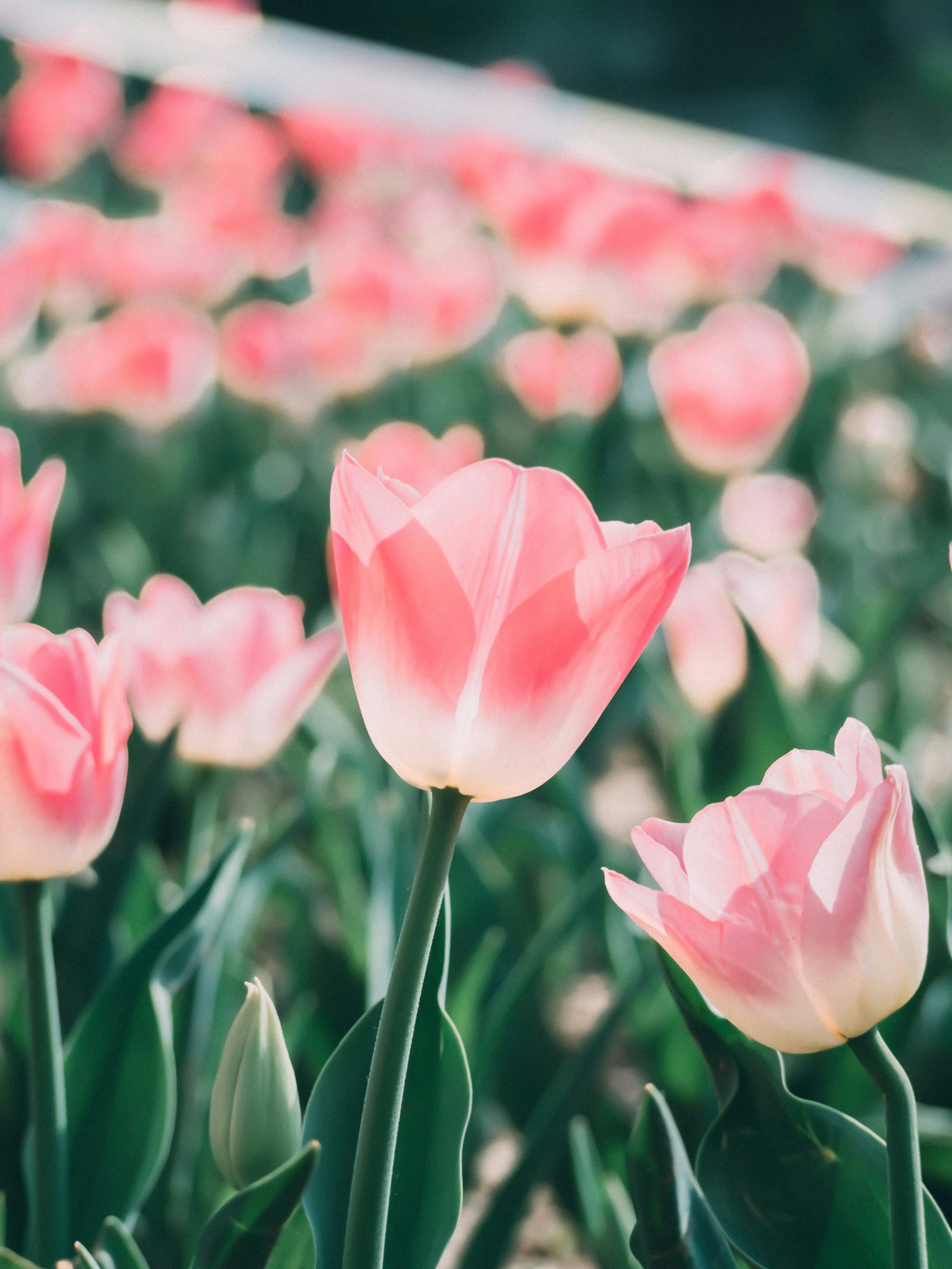 Photo by xiazheng1995