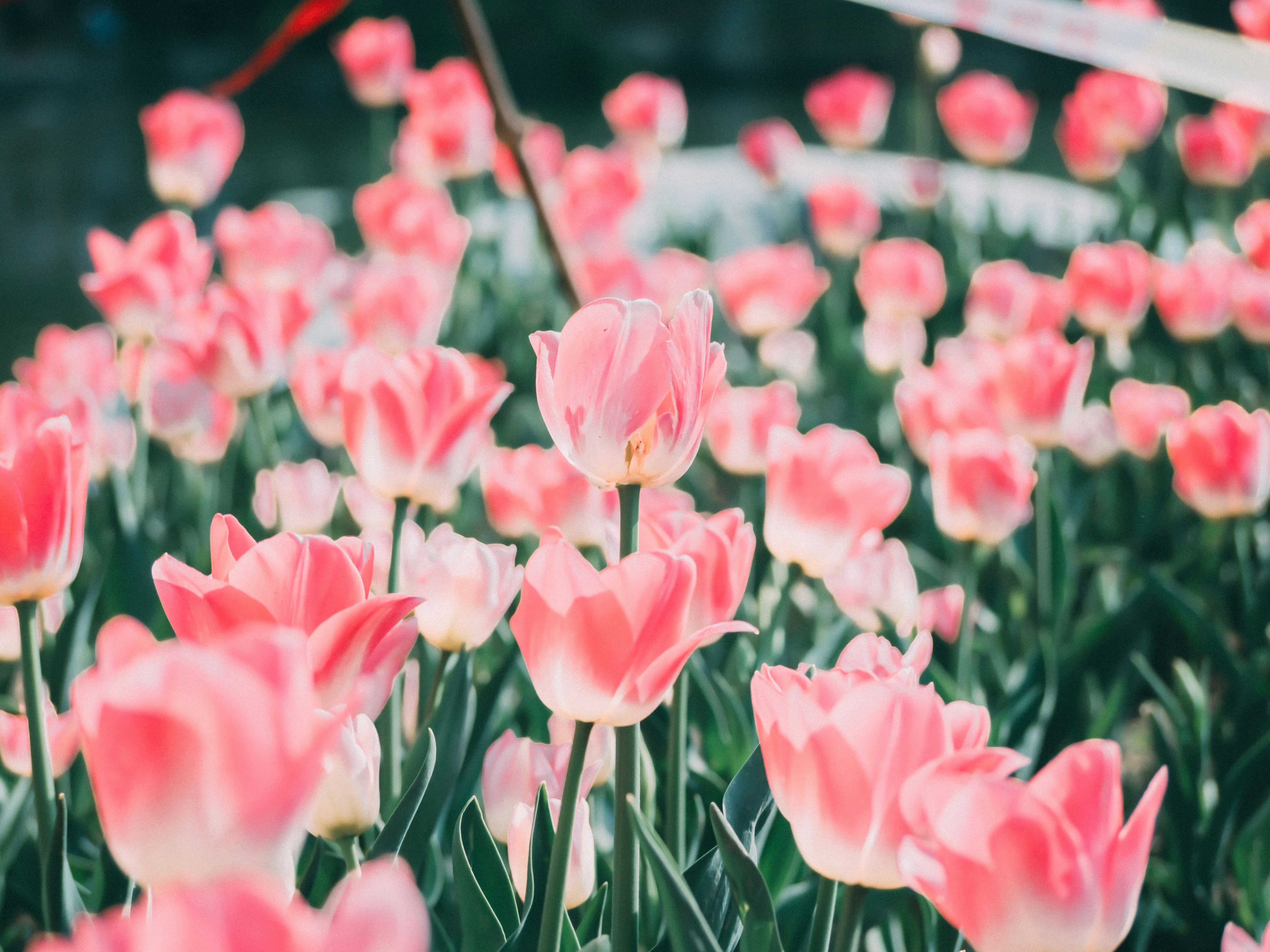 Photo by xiazheng1995