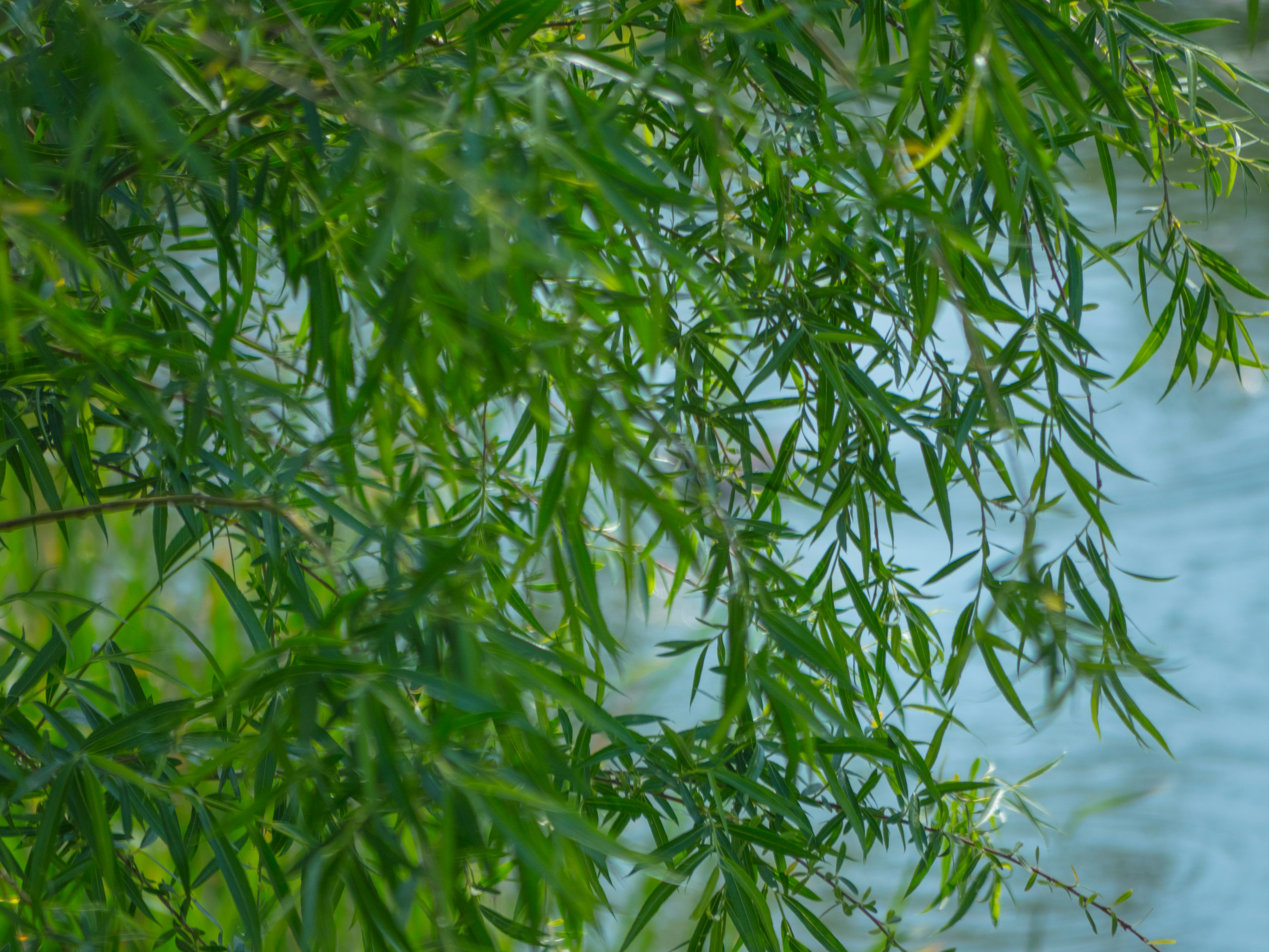 Photo by xiazheng1995