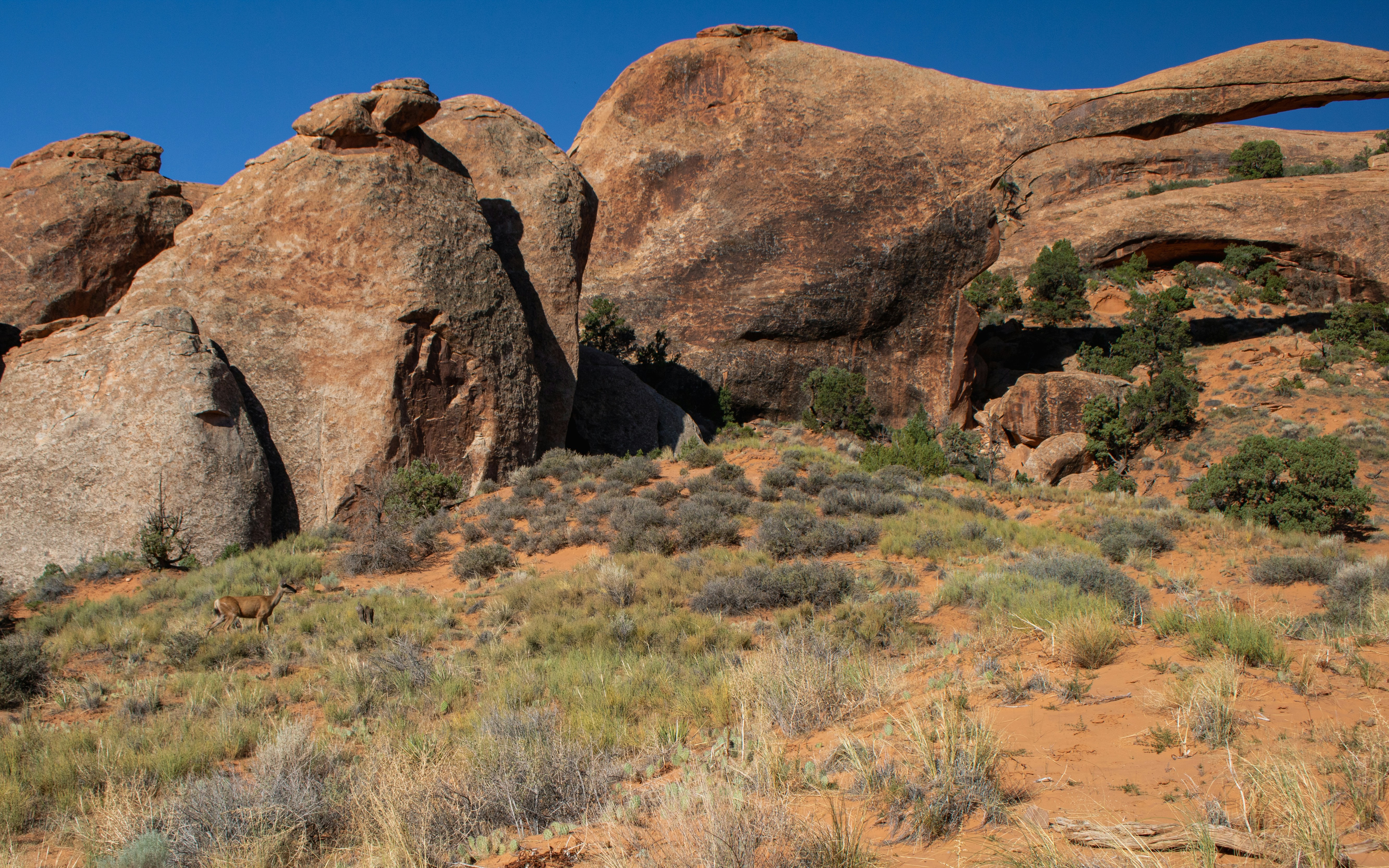 Photo by zoshuacolah