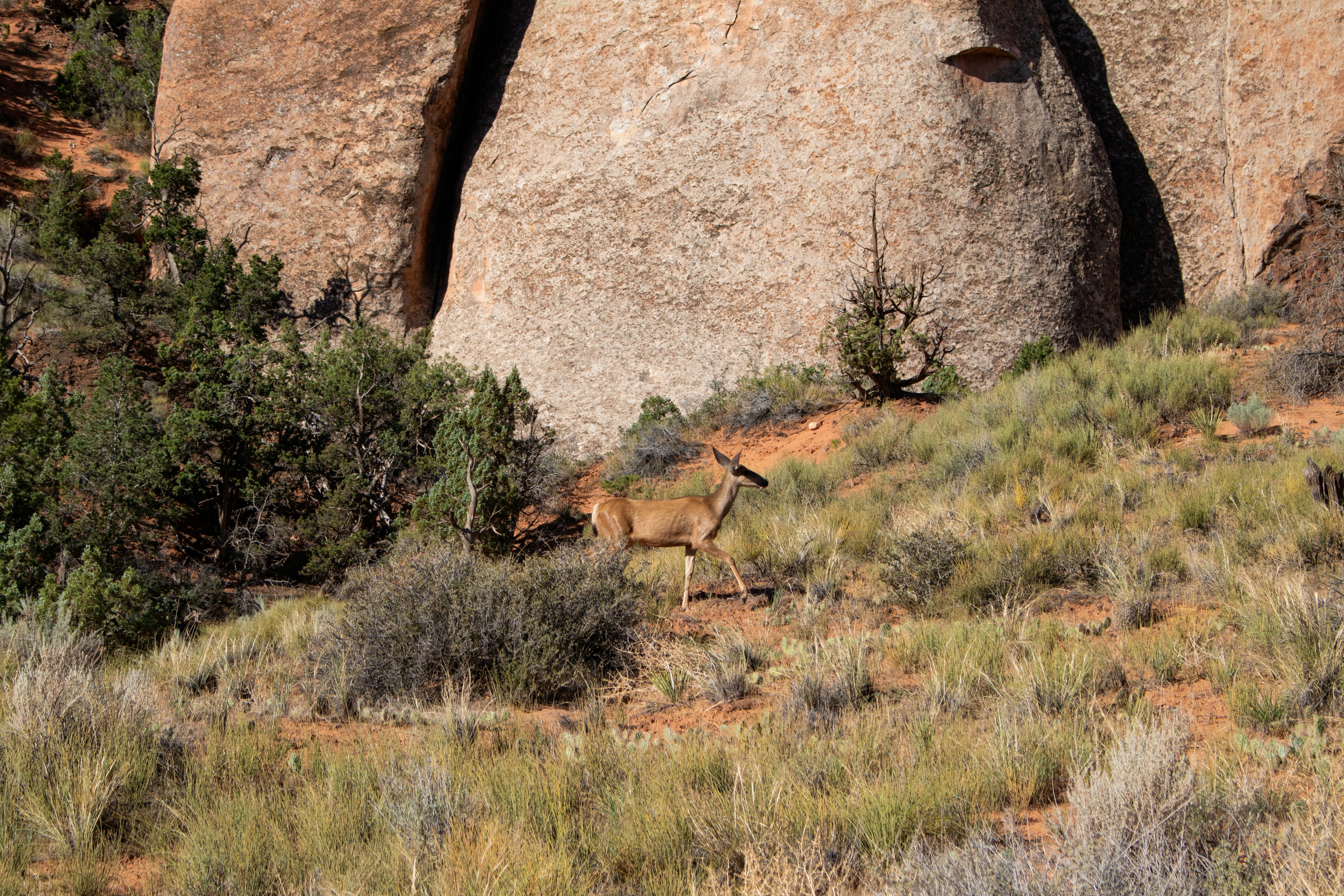 Photo by zoshuacolah