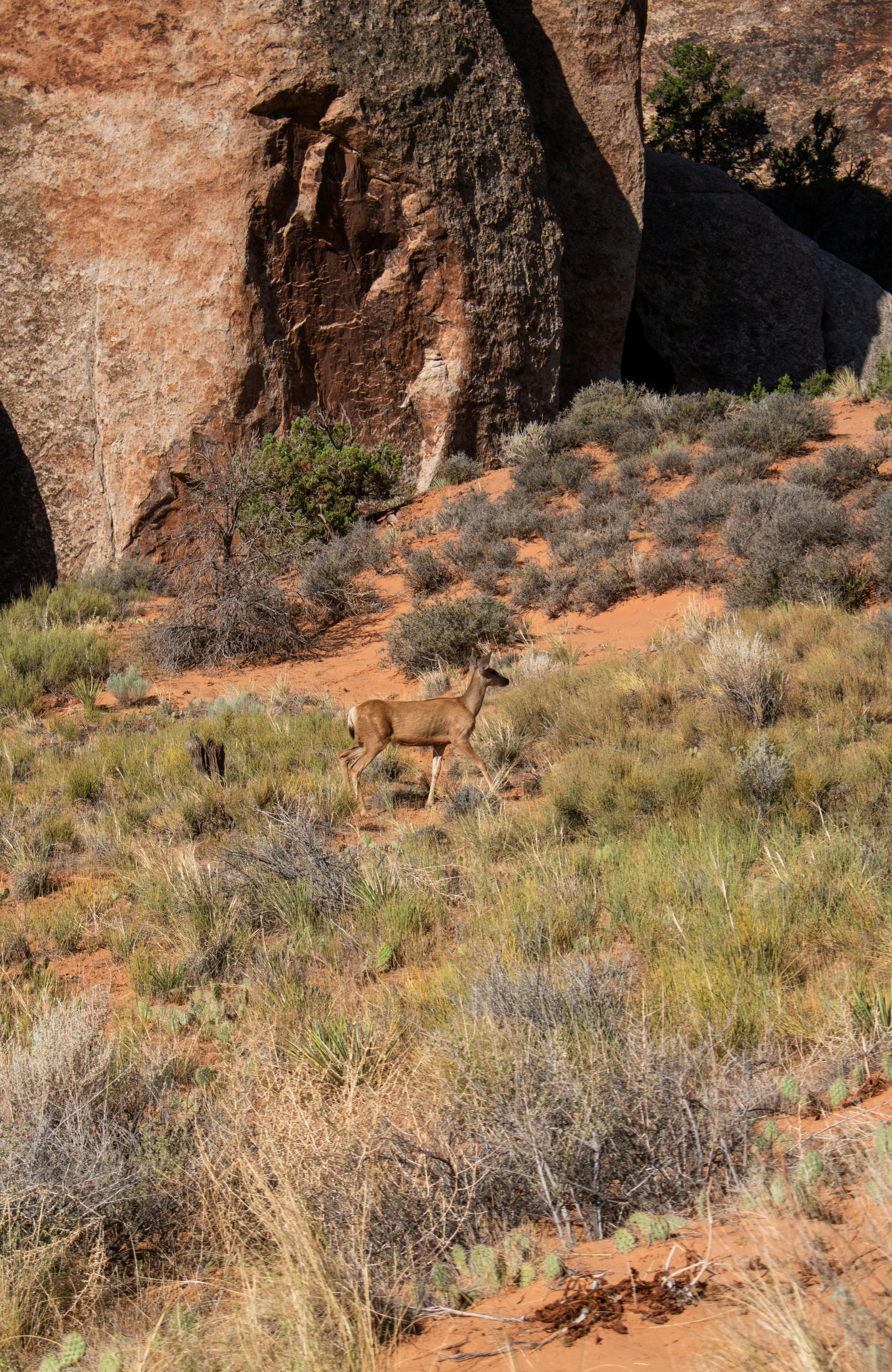 Photo by zoshuacolah