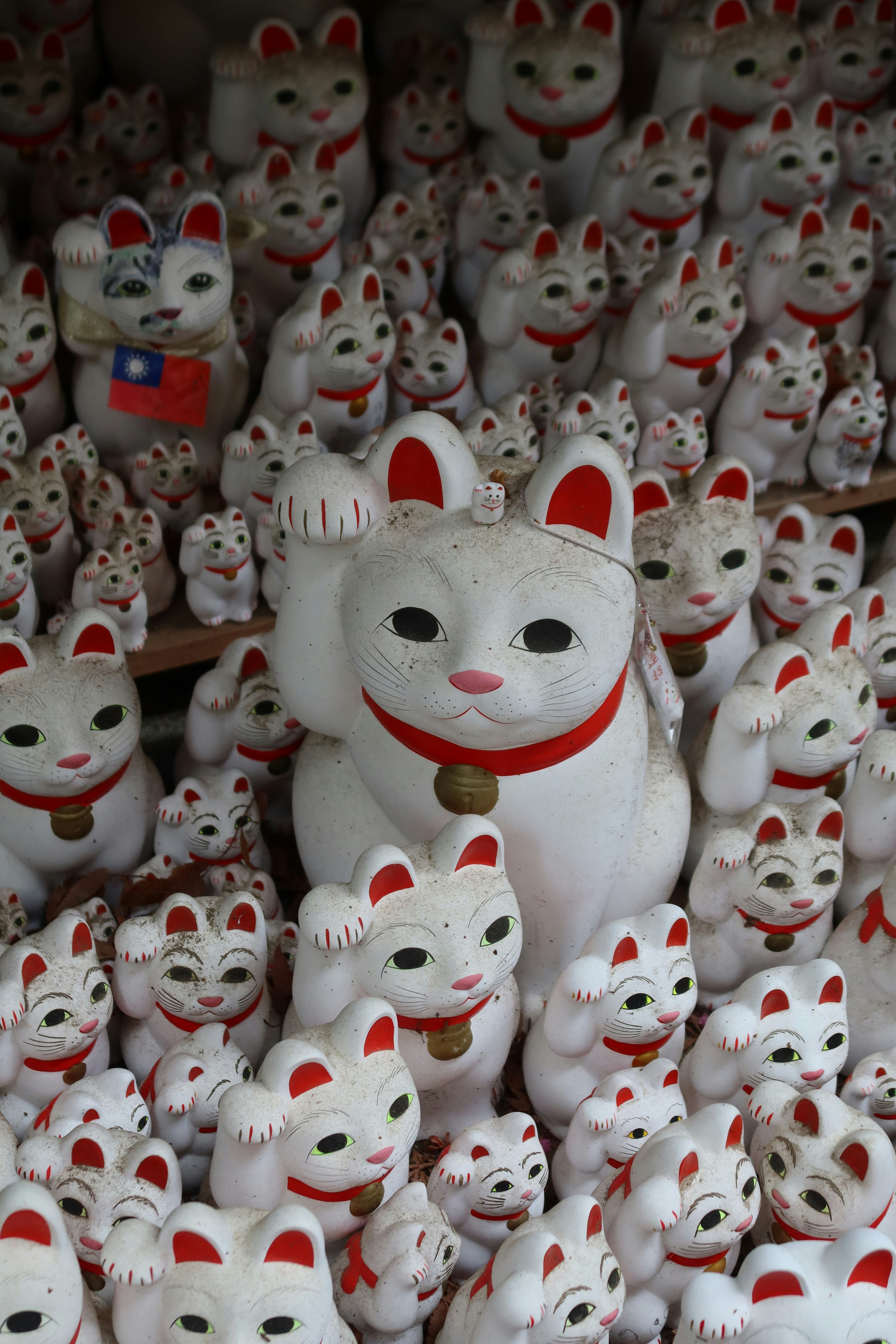 Photo by eliseheikamp00