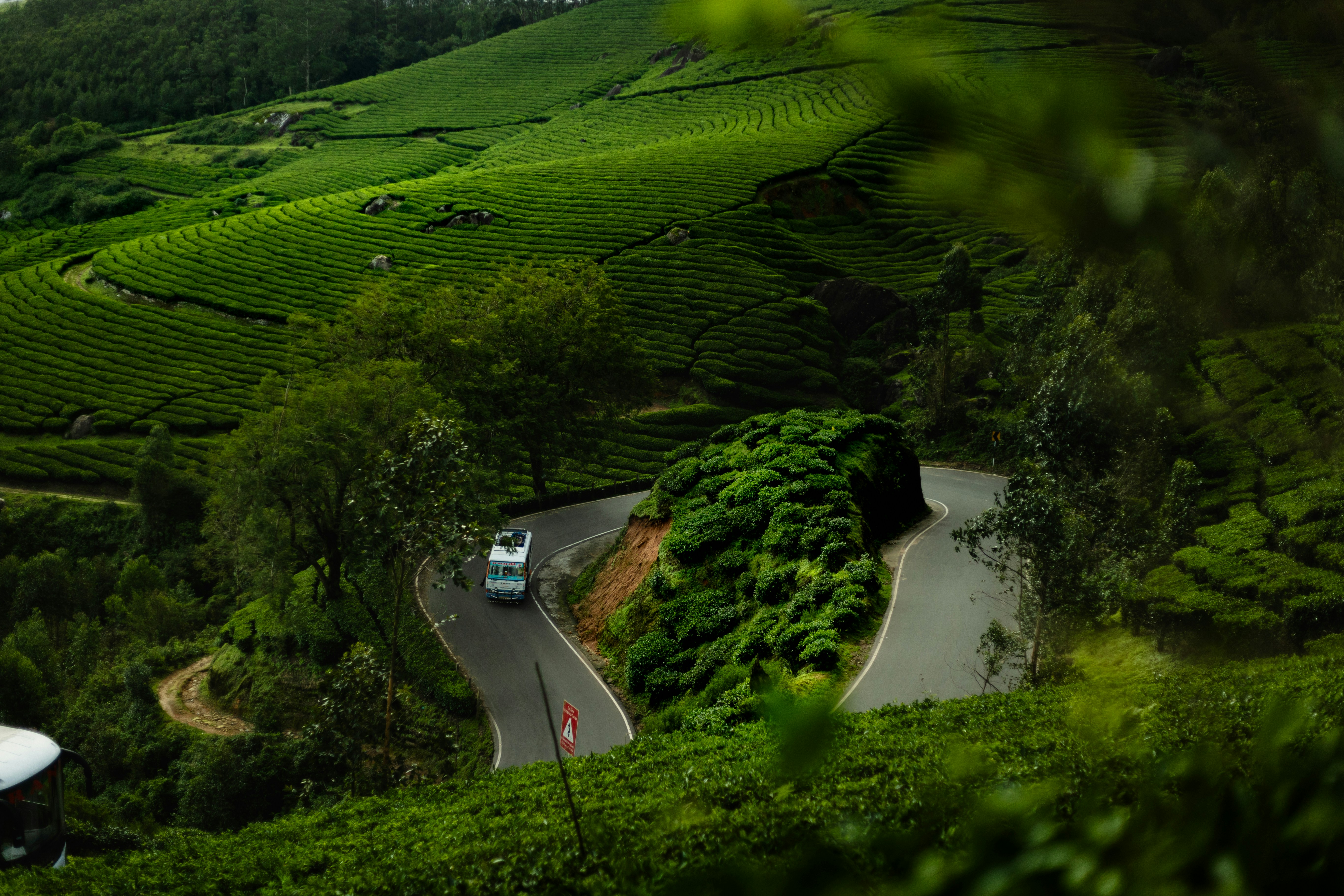 Wayanad Tour Package