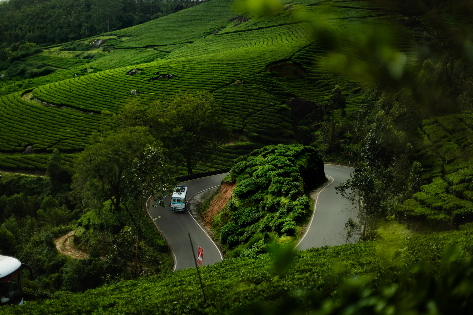 Wayanad, Kerala