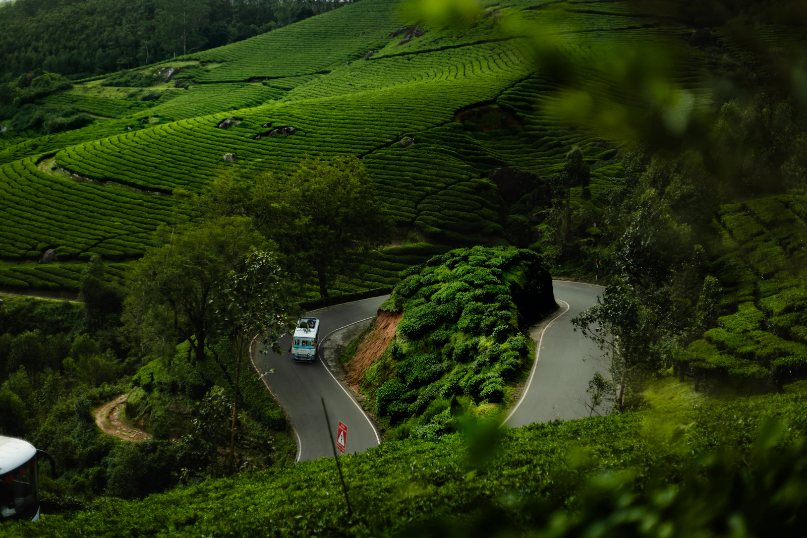 Wayanad Wilderness