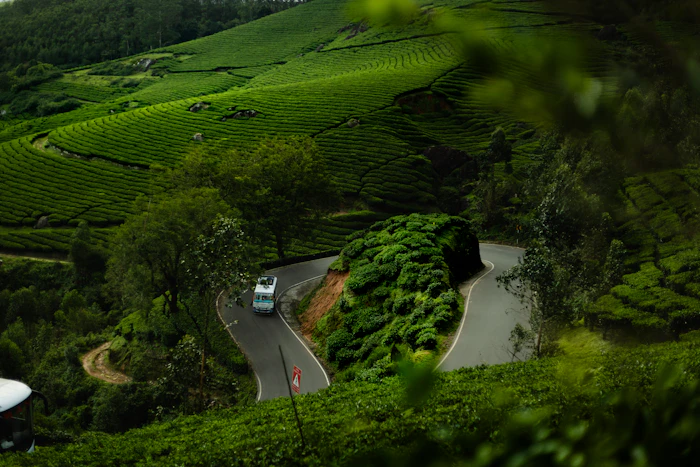Top Sports Bars in Wayanad to Watch the Match With the Crowd