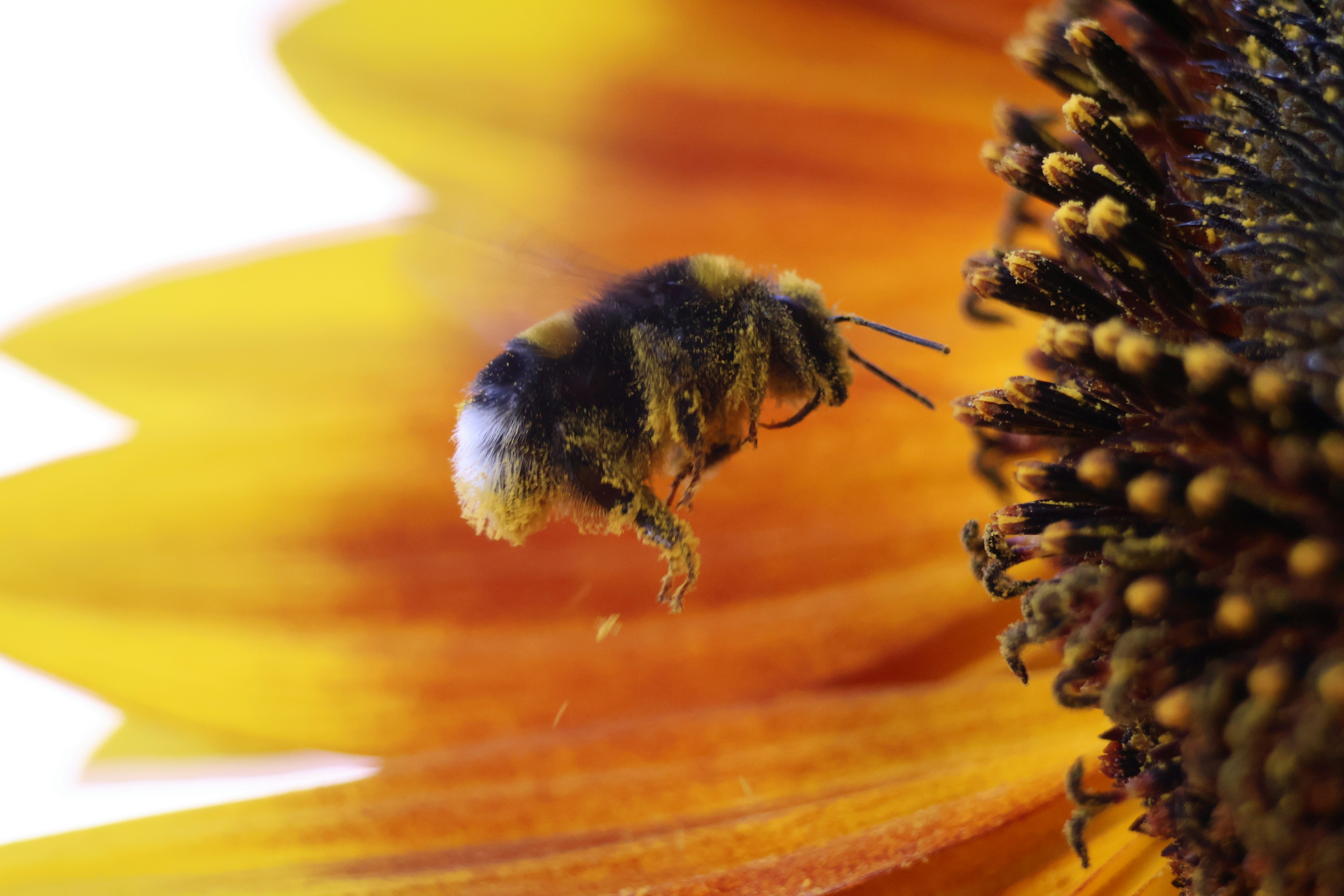 Photo by shooter__andy