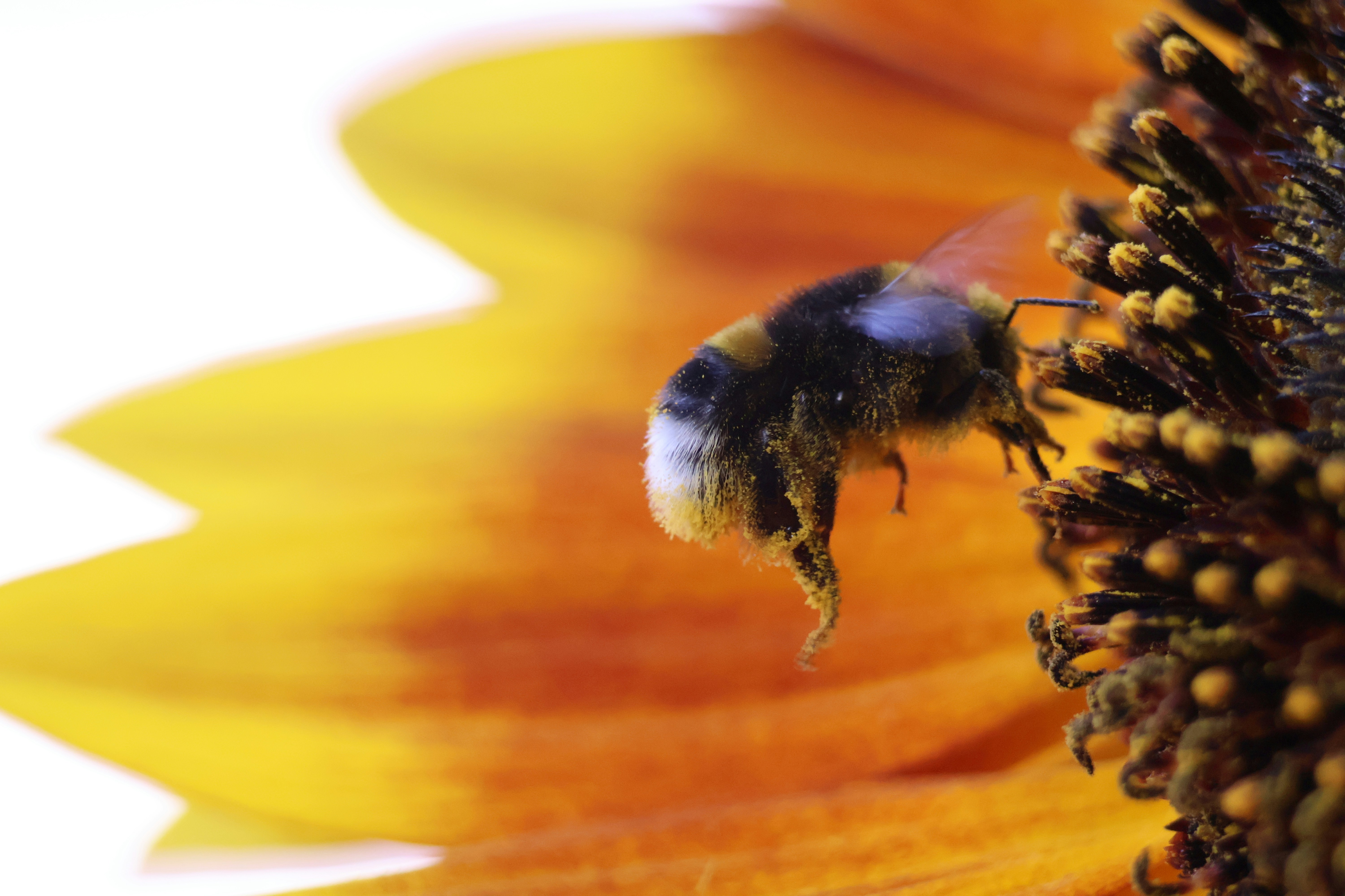 Photo by shooter__andy