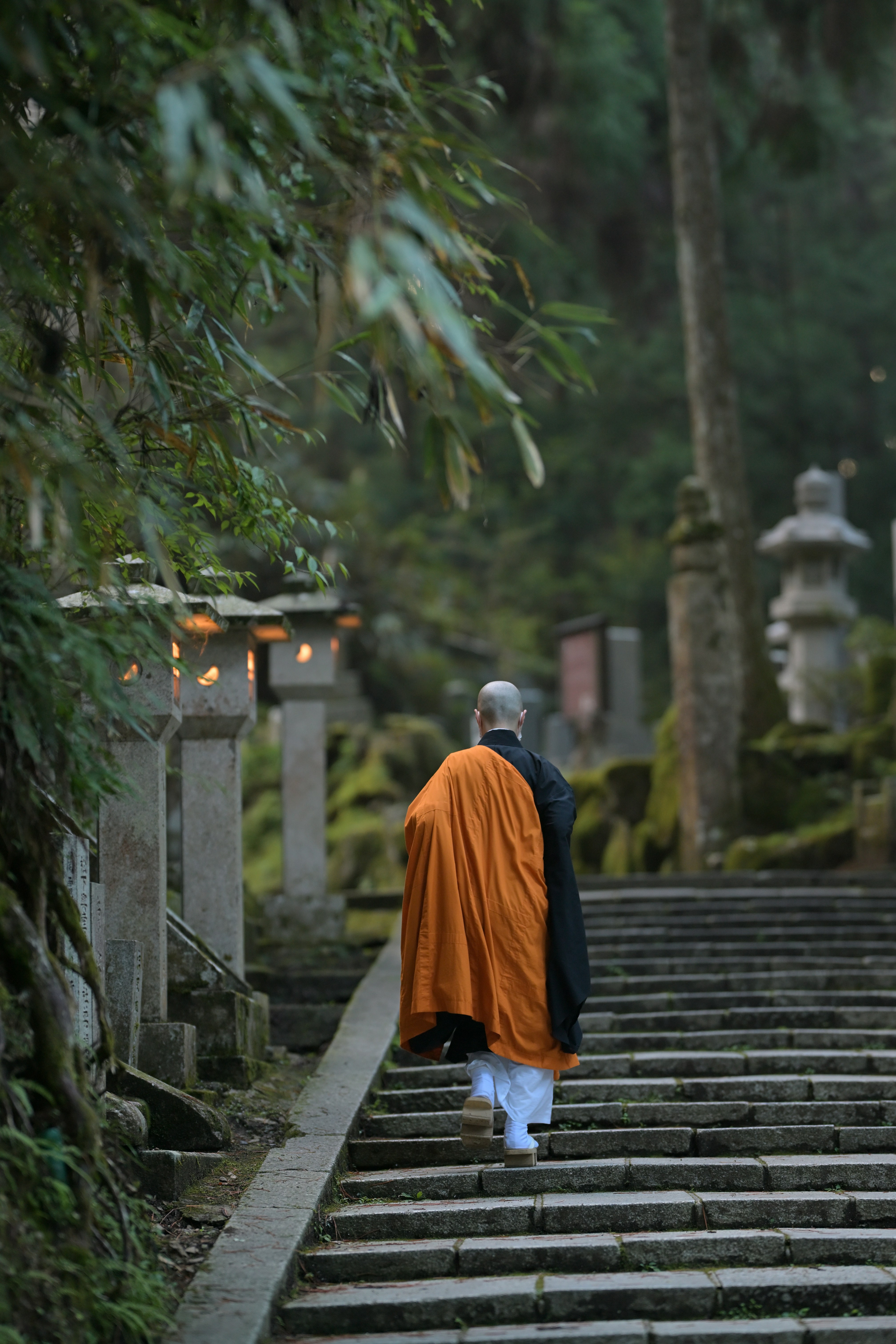 Photo by dinsamu