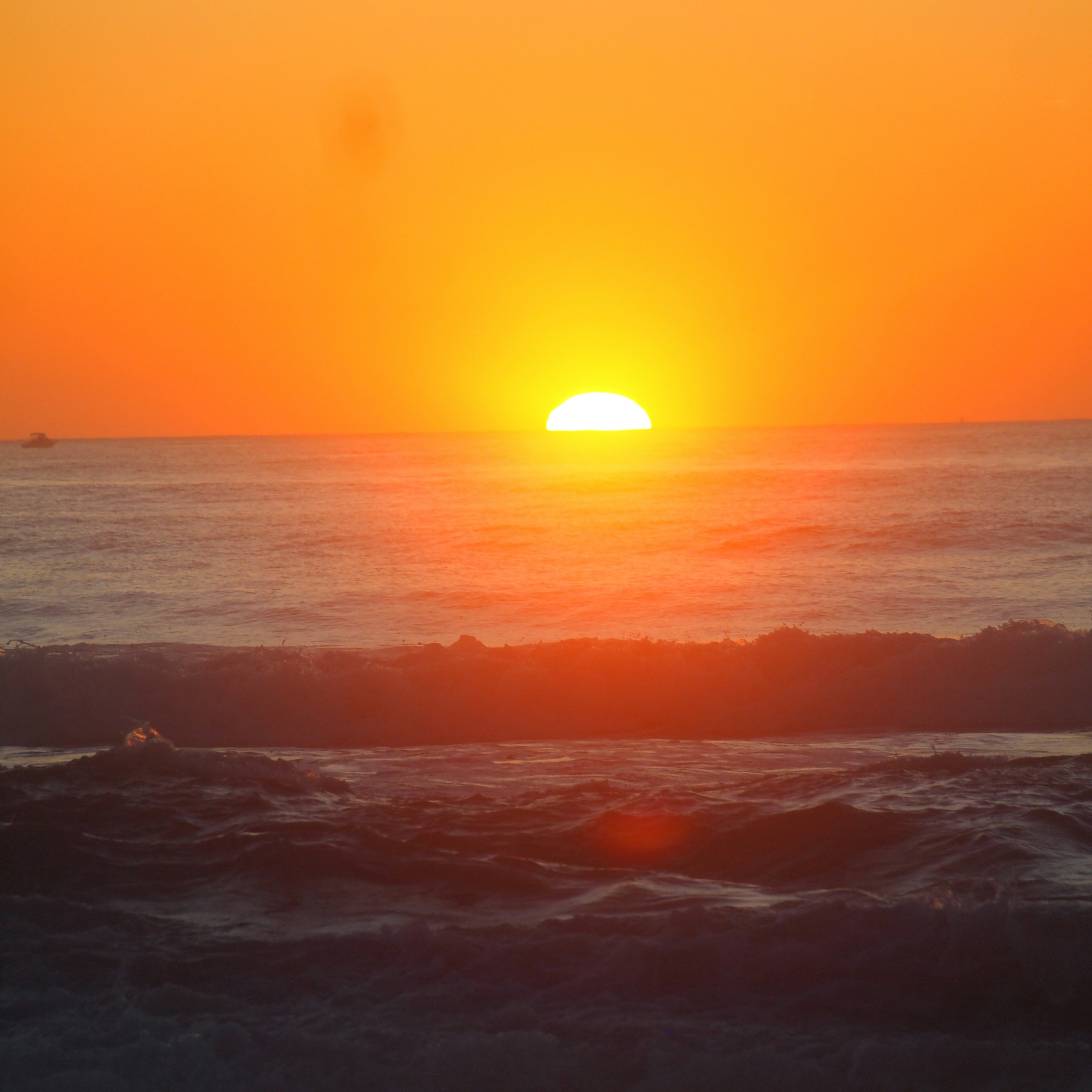 Photo by bluephoto118