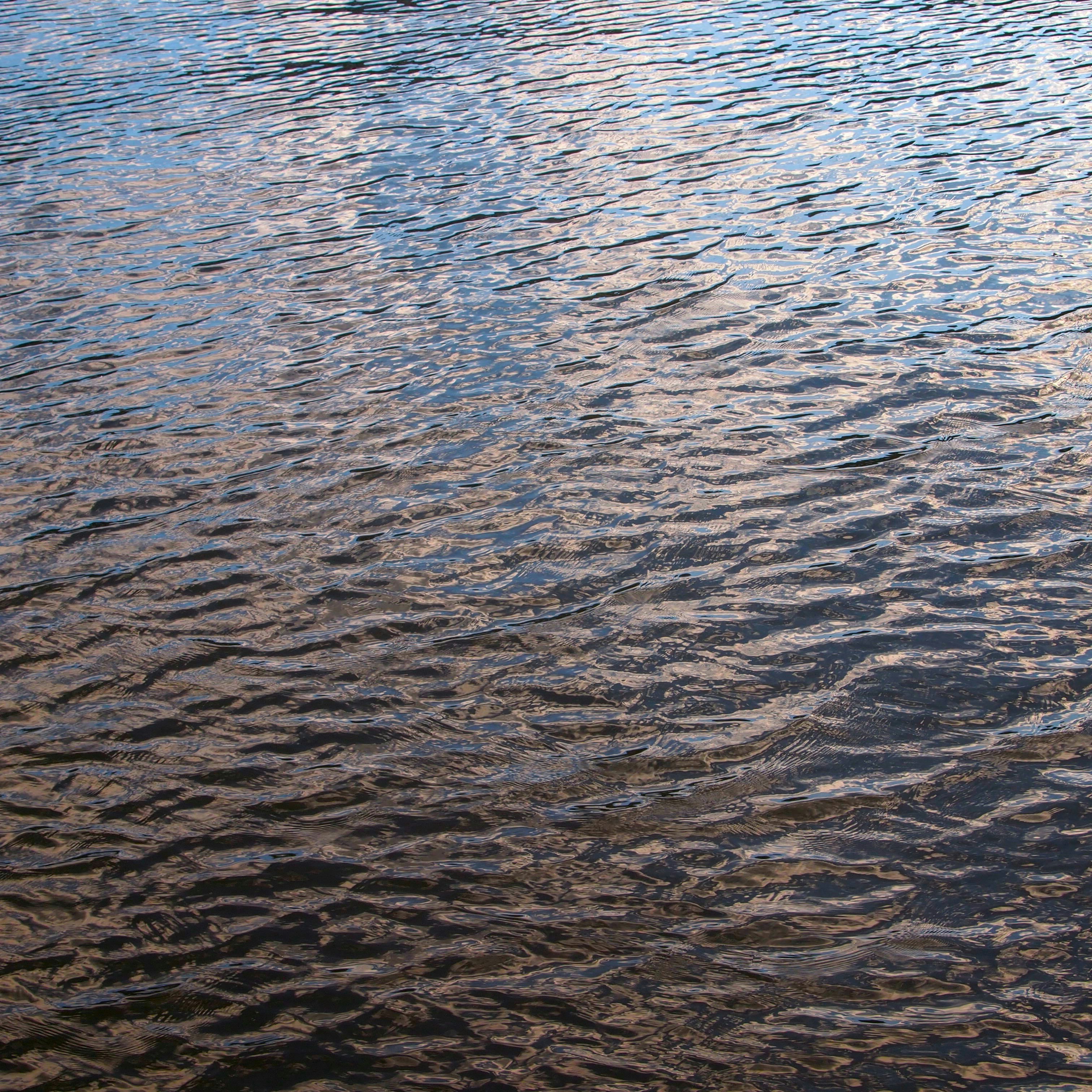 Photo by bluephoto118