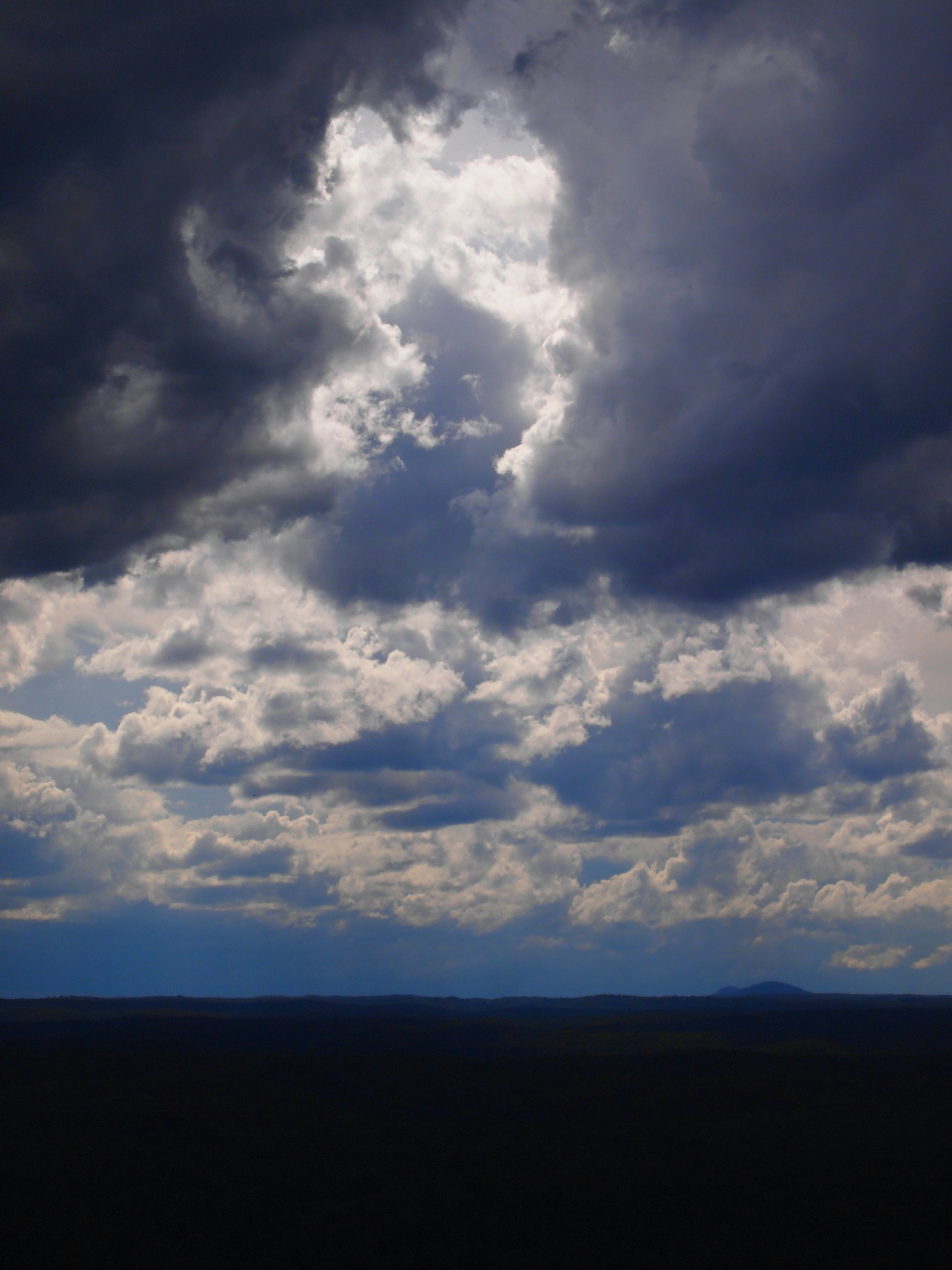 Photo by bluephoto118