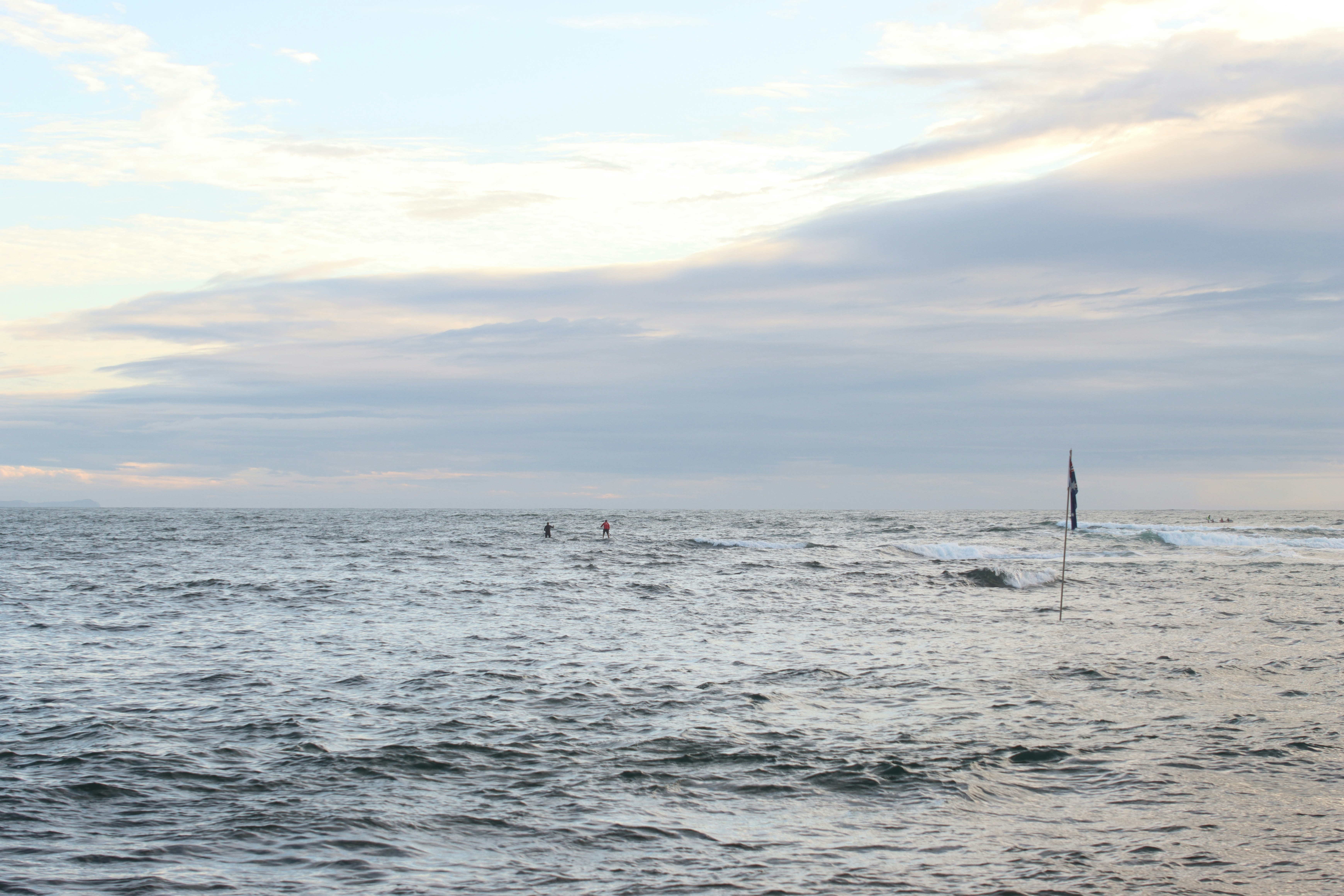 Photo by bluephoto118