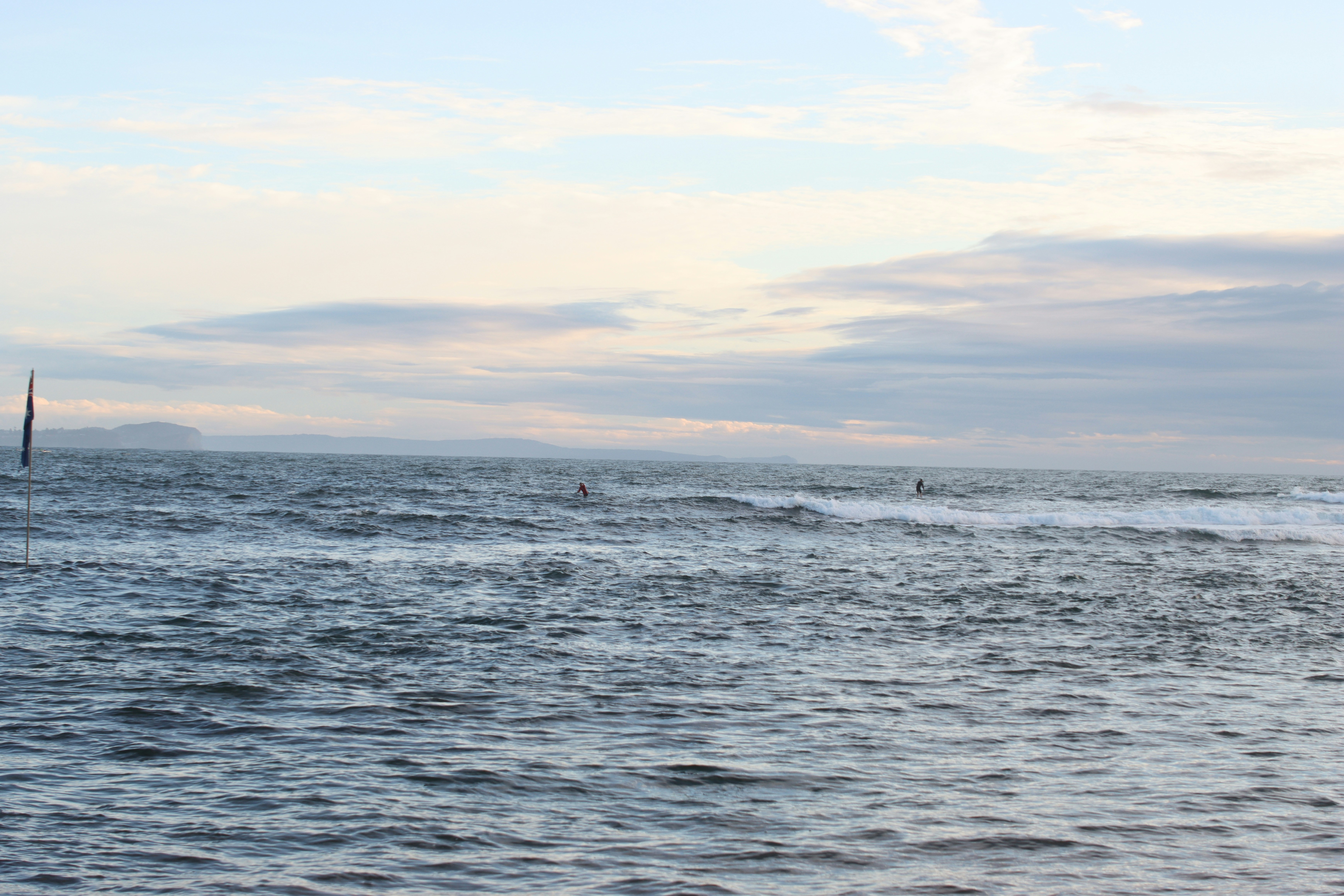 Photo by bluephoto118