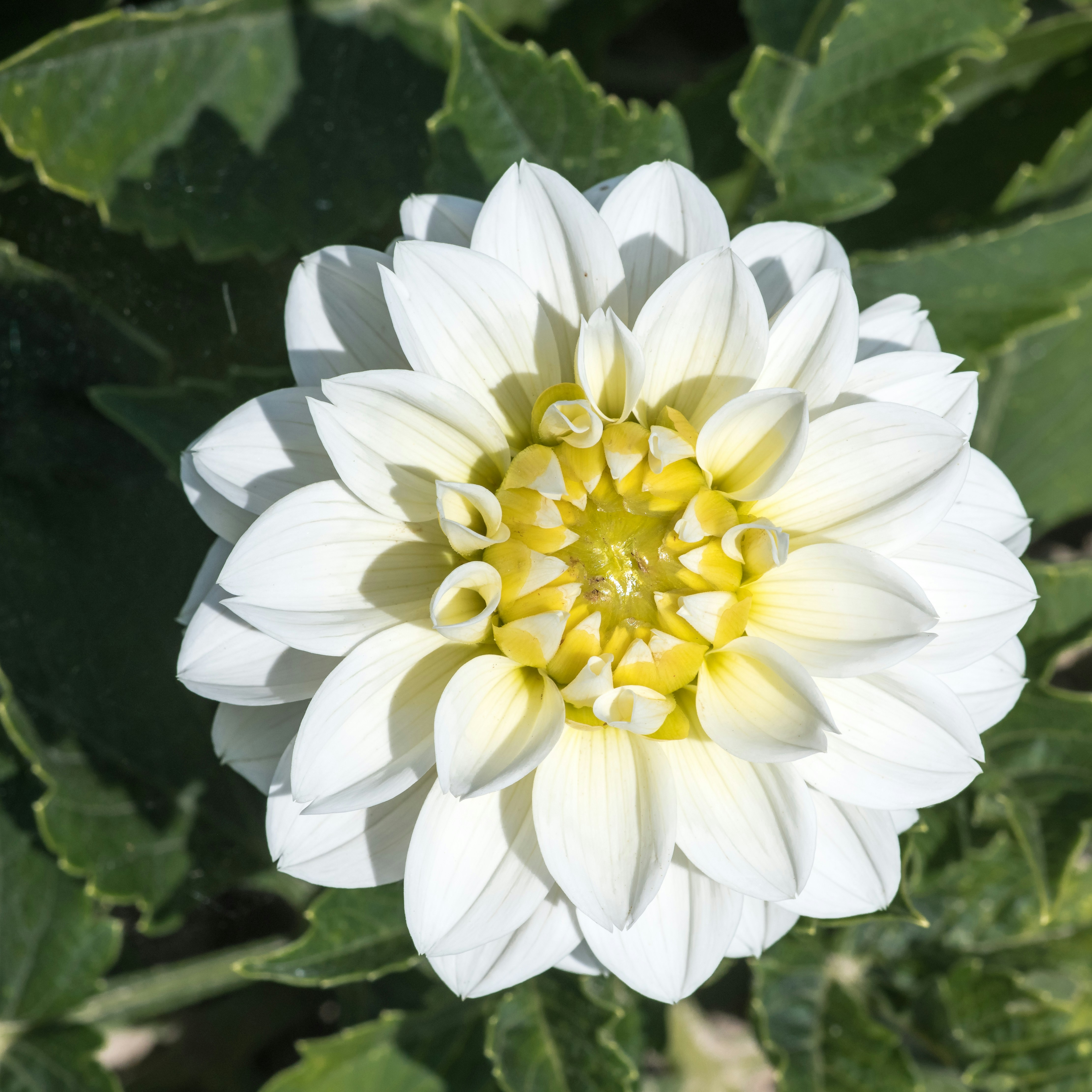 Photo by hamburgmeinefreundin